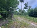 Photo 94 for MLS 1935700