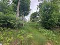 Photo 99 for MLS 1935700