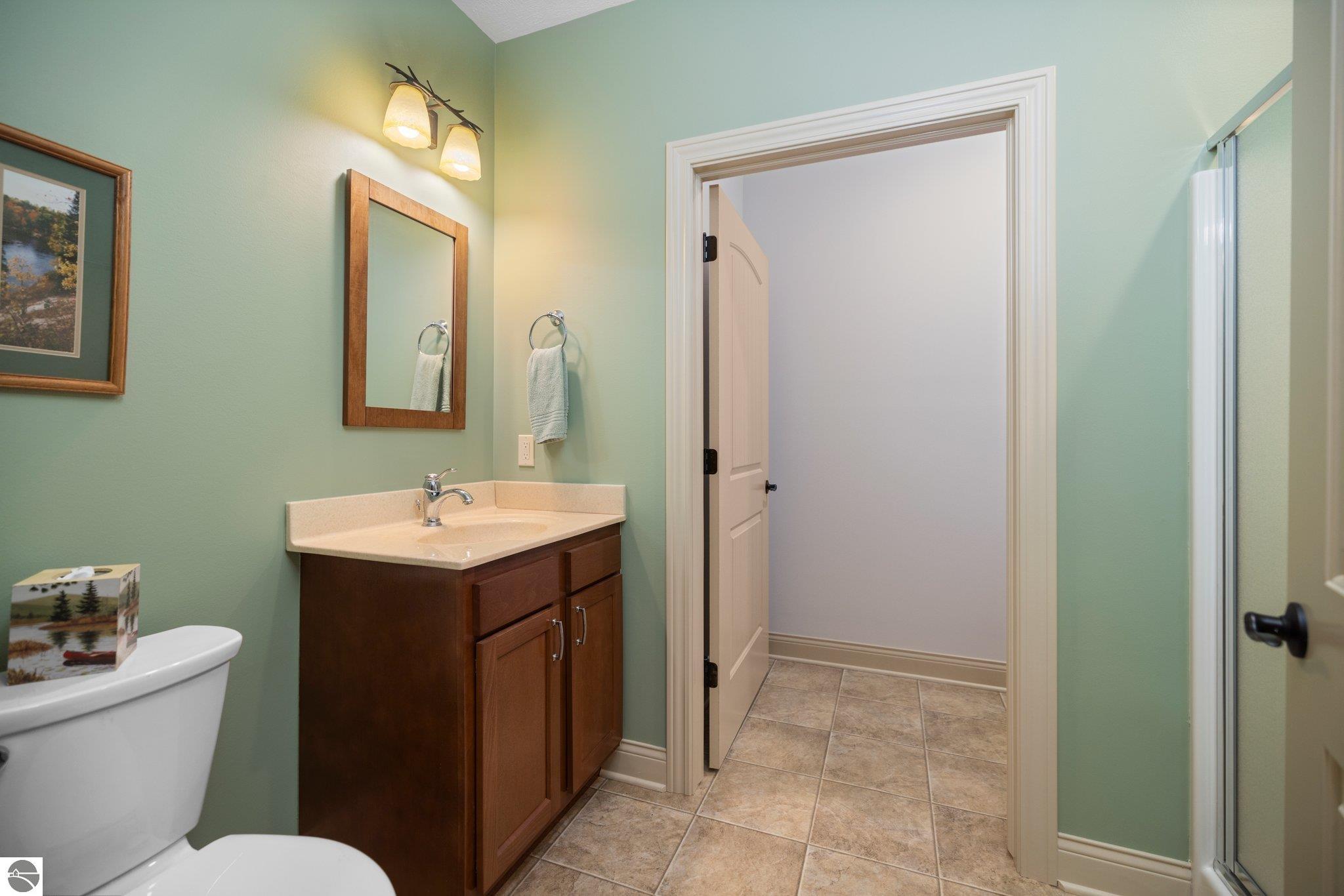 256 Sunview Court, Fife Lake, MI 49633 — Photo 43