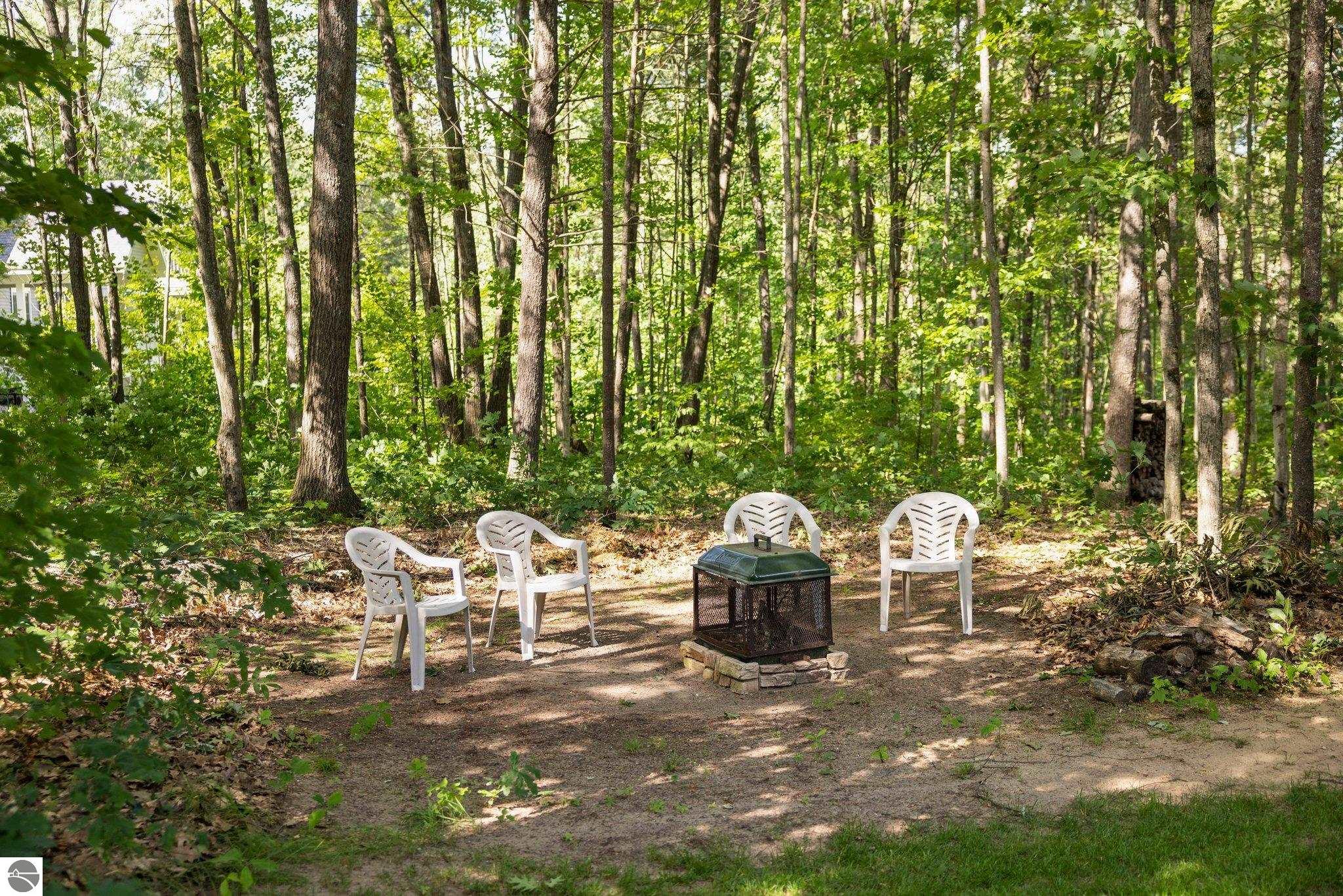 256 Sunview Court, Fife Lake, MI 49633 — Photo 52