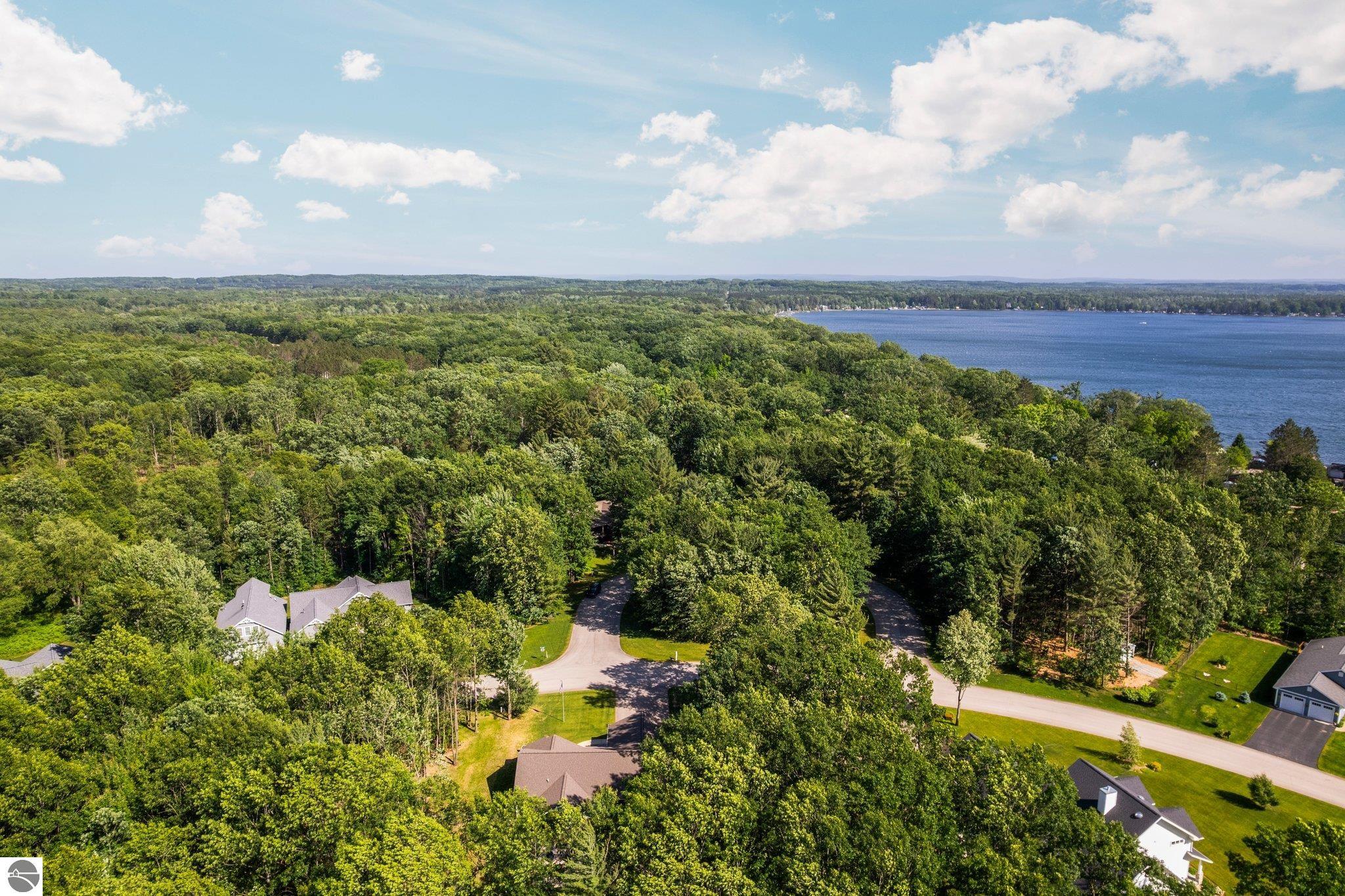 256 Sunview Court, Fife Lake, MI 49633 — Photo 57