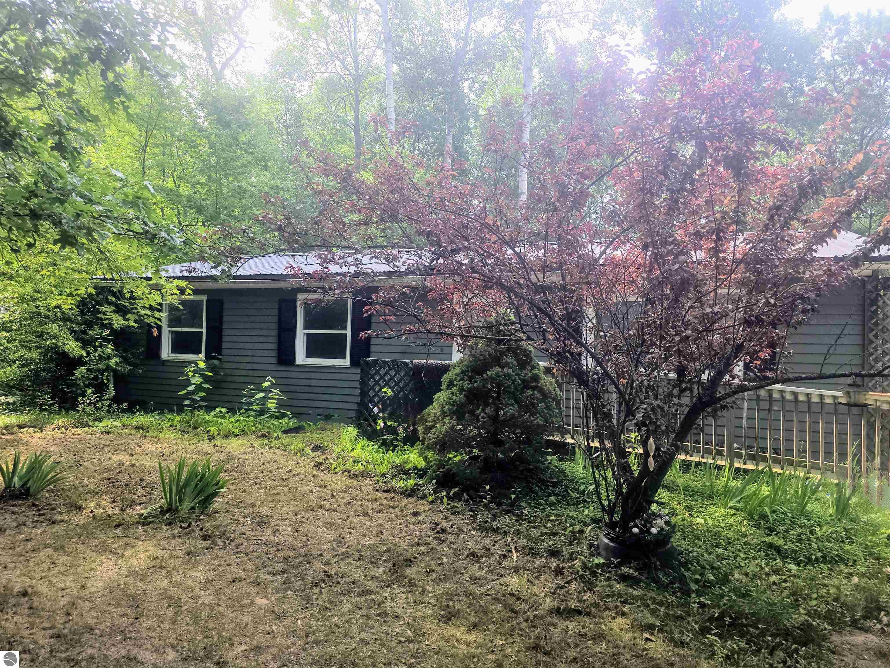 764 E Surrey Road, Farwell, MI 48622 — Photo 2