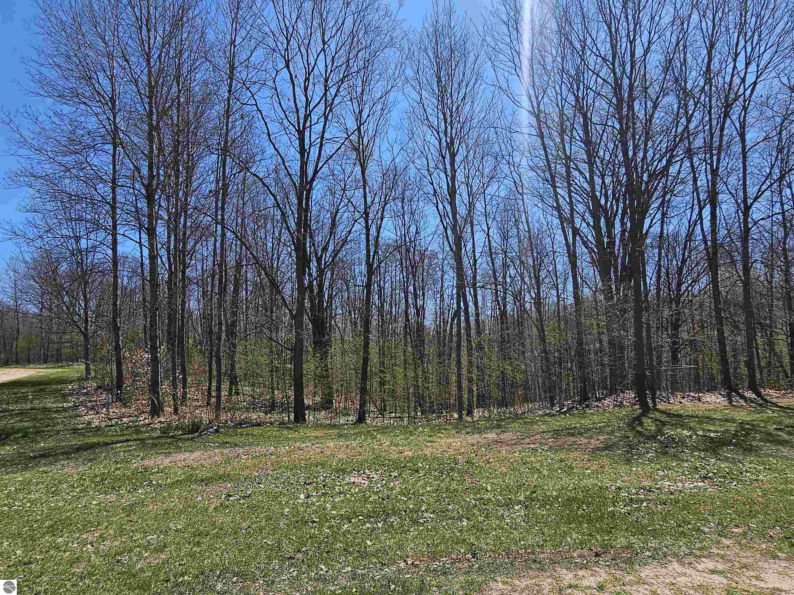 3815 N 3 1/2 Road, Mesick, MI 49668 — Photo 33