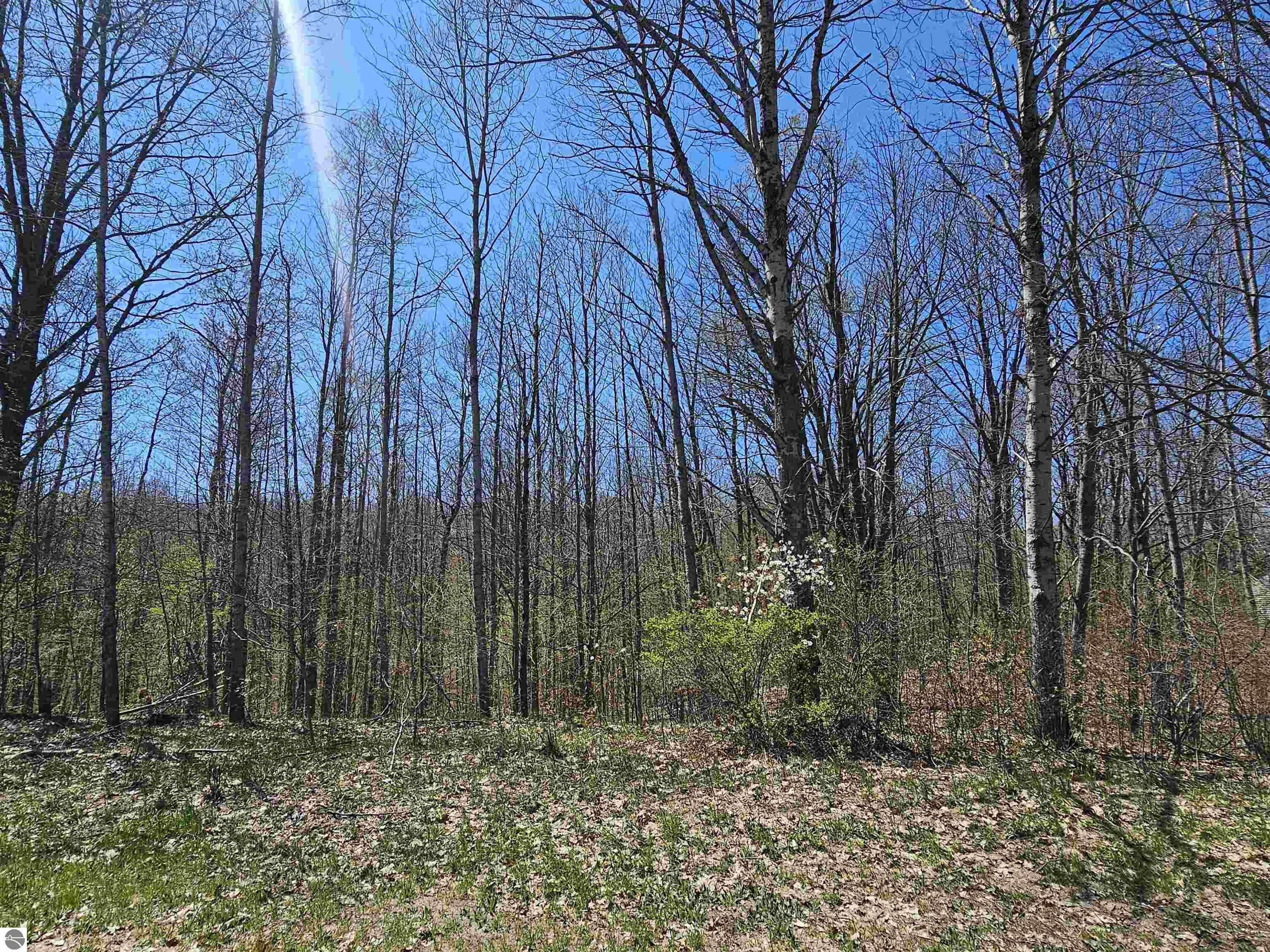 3815 N 3 1/2 Road, Mesick, MI 49668 — Photo 35