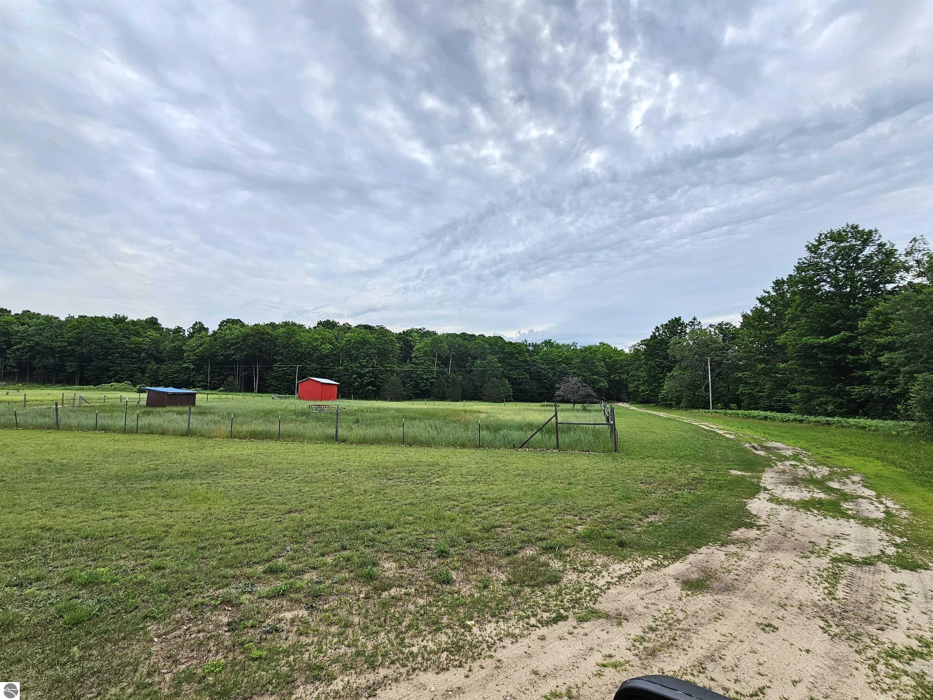 3815 N 3 1/2 Road, Mesick, MI 49668 — Photo 5