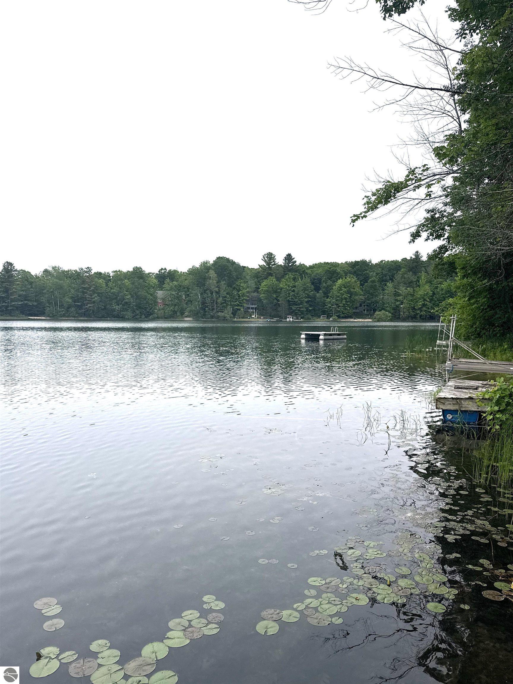 18823 Lakewood Circle, Lake Ann, MI 49650 — Photo 37
