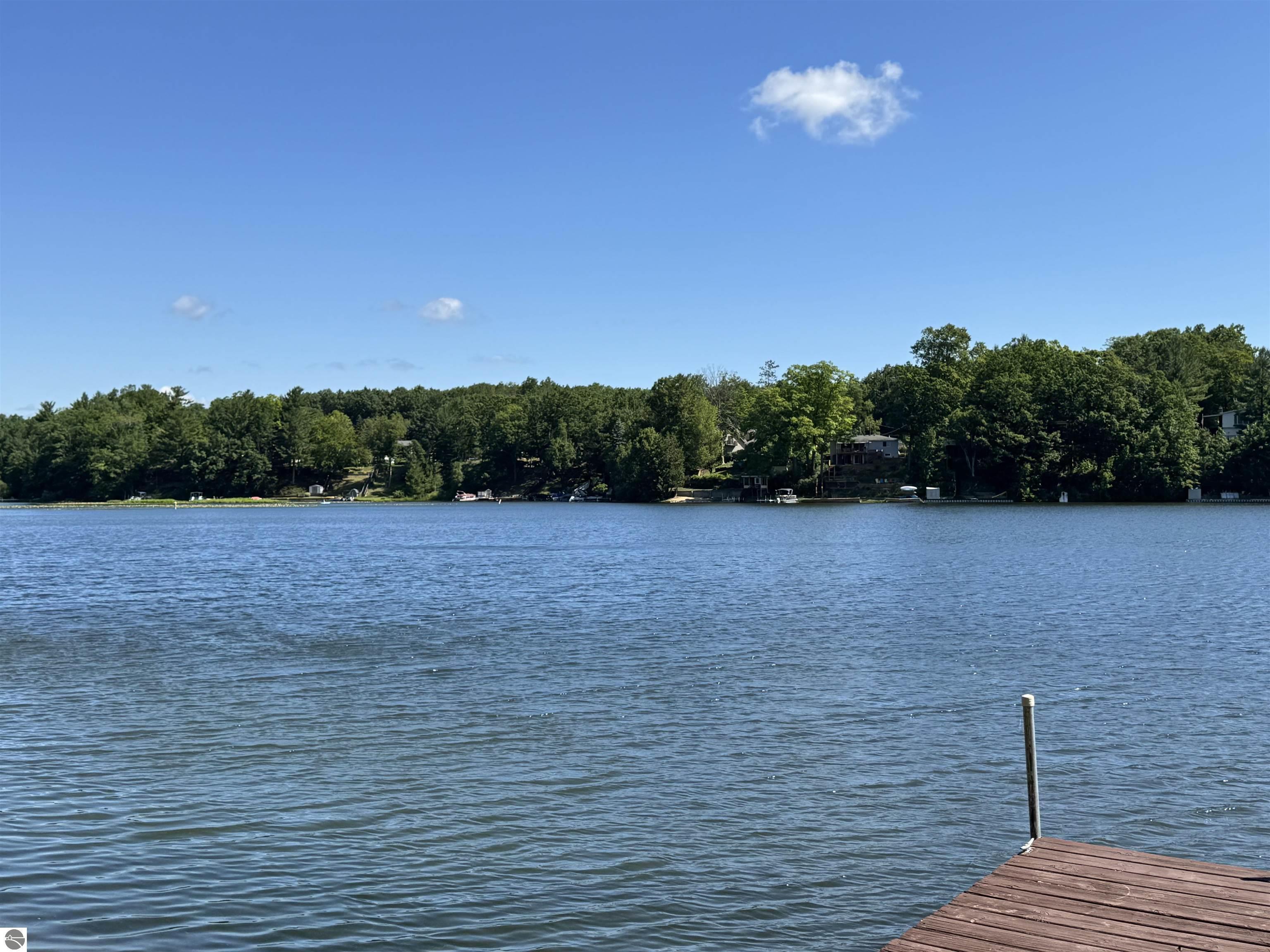 7851 White Birch Drive, Farwell, MI 48622 — Photo 12