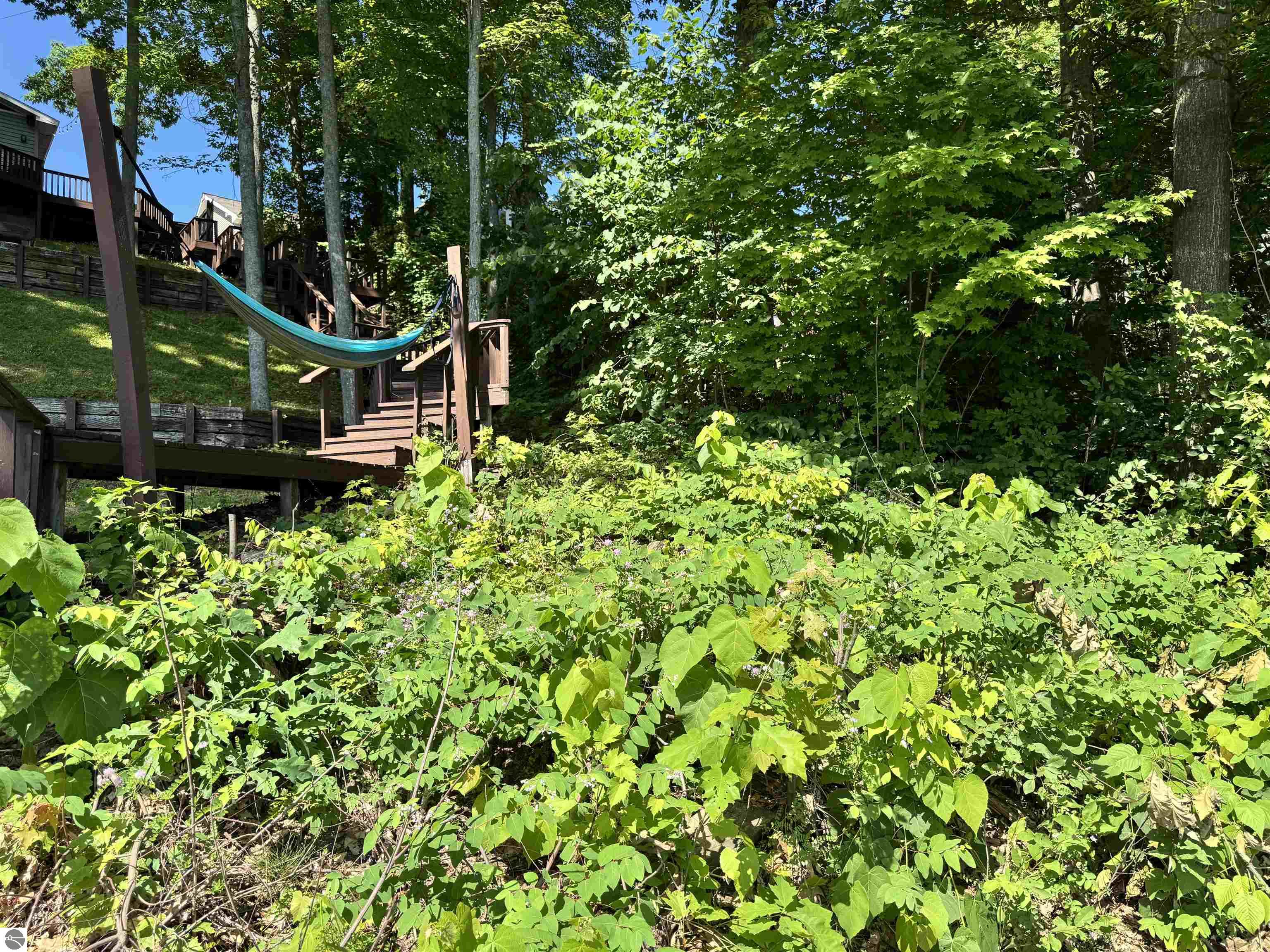 7851 White Birch Drive, Farwell, MI 48622 — Photo 33
