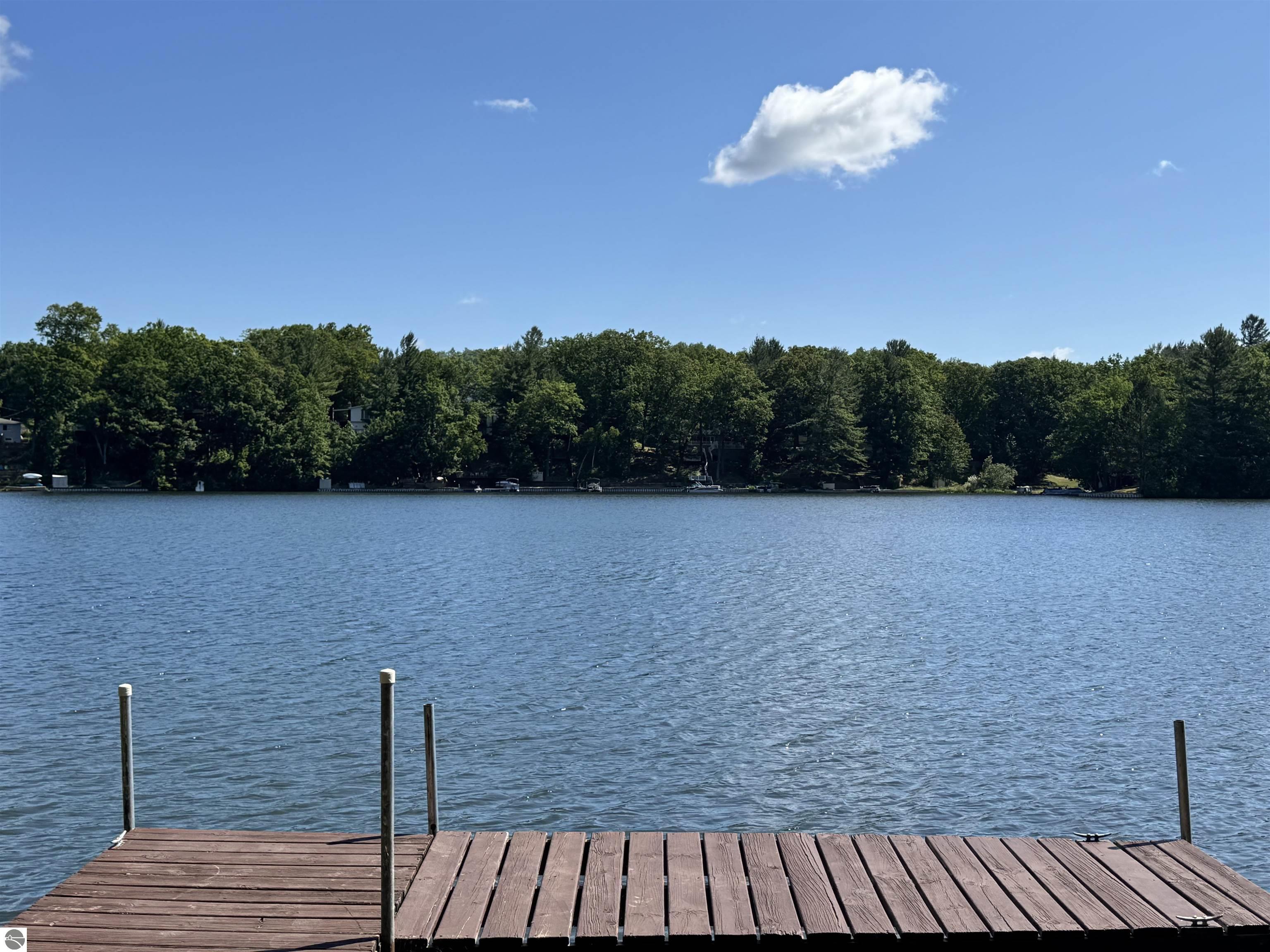 7851 White Birch Drive, Farwell, MI 48622 — Photo 8