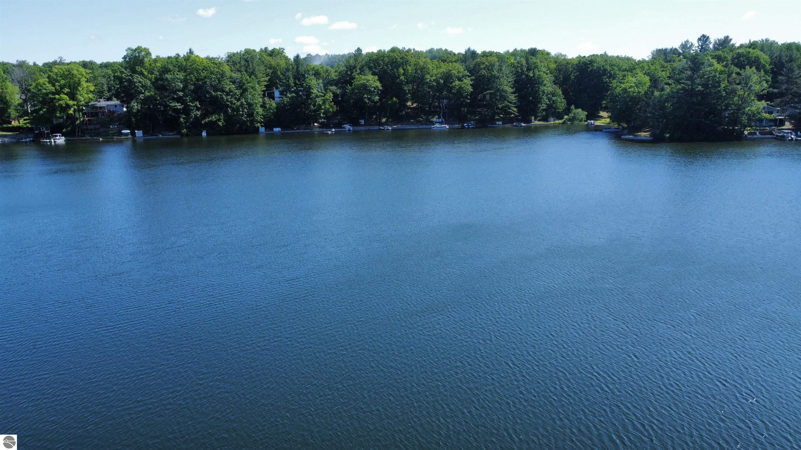 7851 White Birch Drive, Farwell, MI 48622 — Photo 10