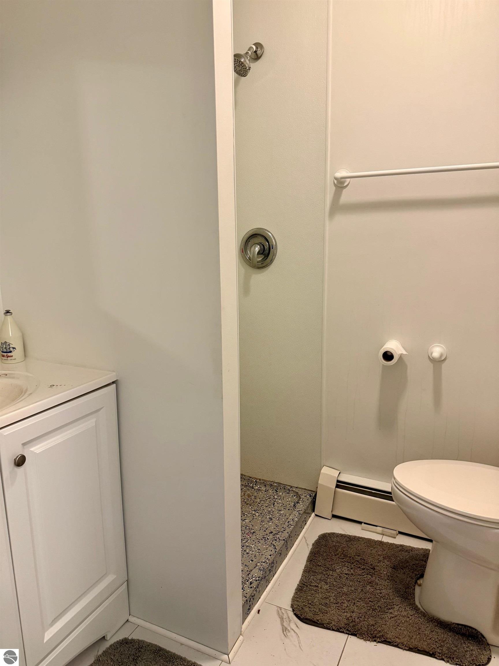 321 N Front Street, Lake City, MI 49651 — Photo 15