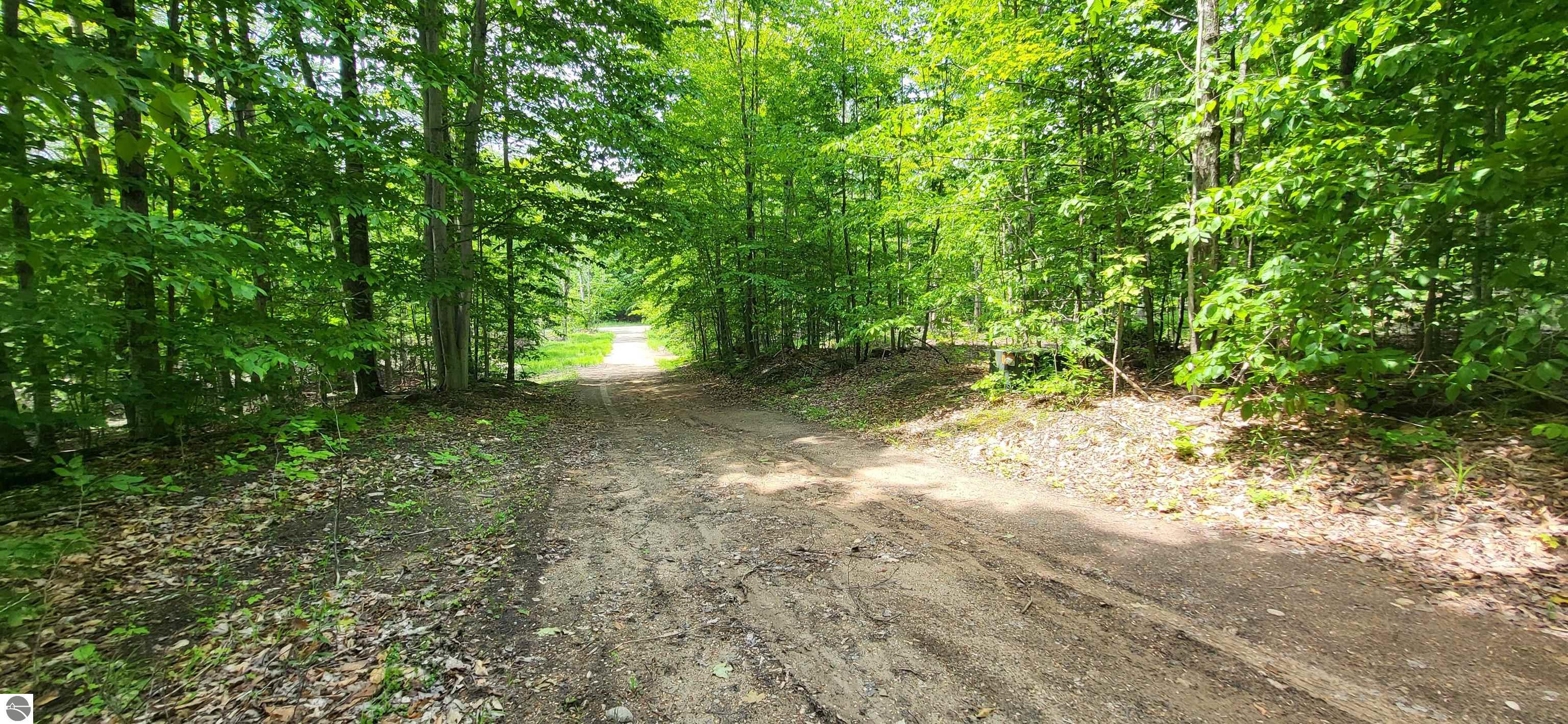 3080 Lewis Road, East Jordan, MI 49727 — Photo 24