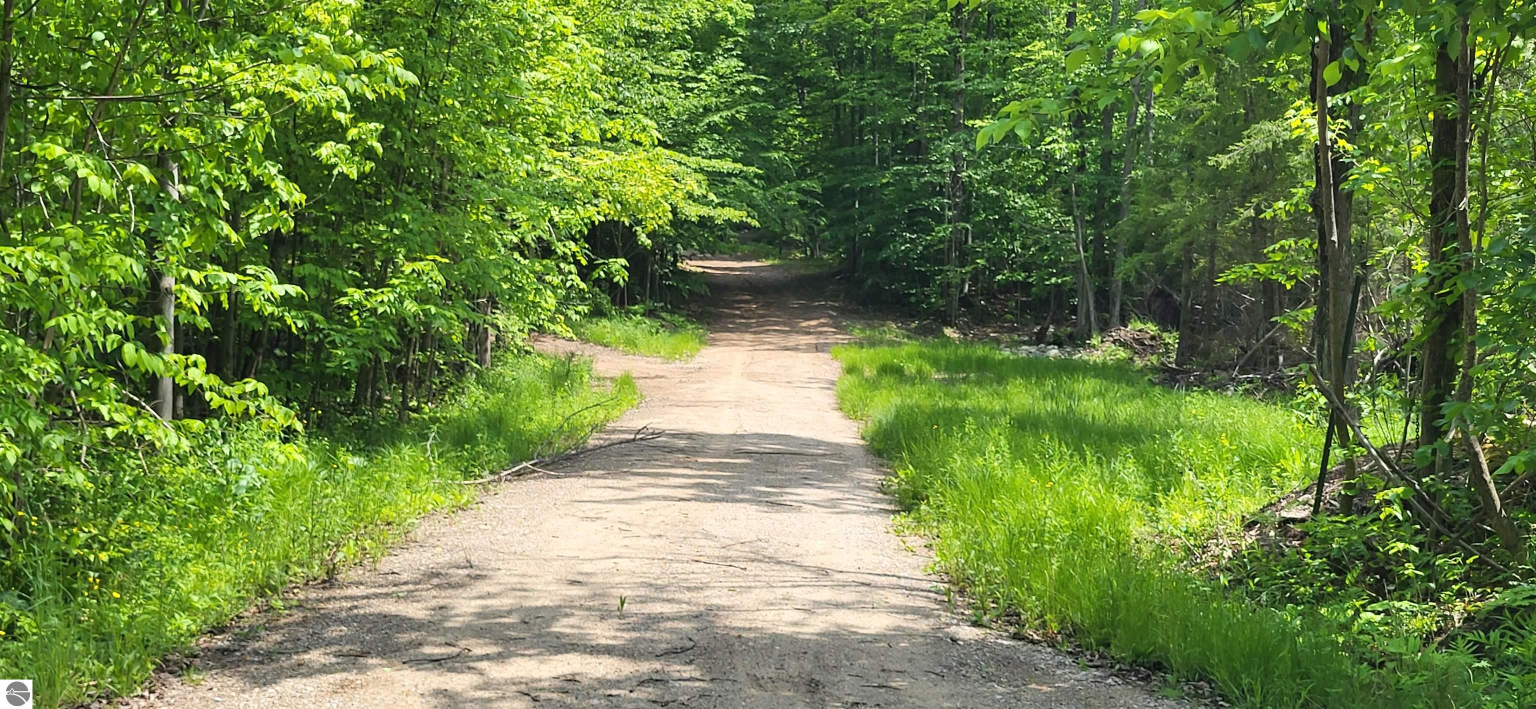 3080 Lewis Road, East Jordan, MI 49727 — Photo 25