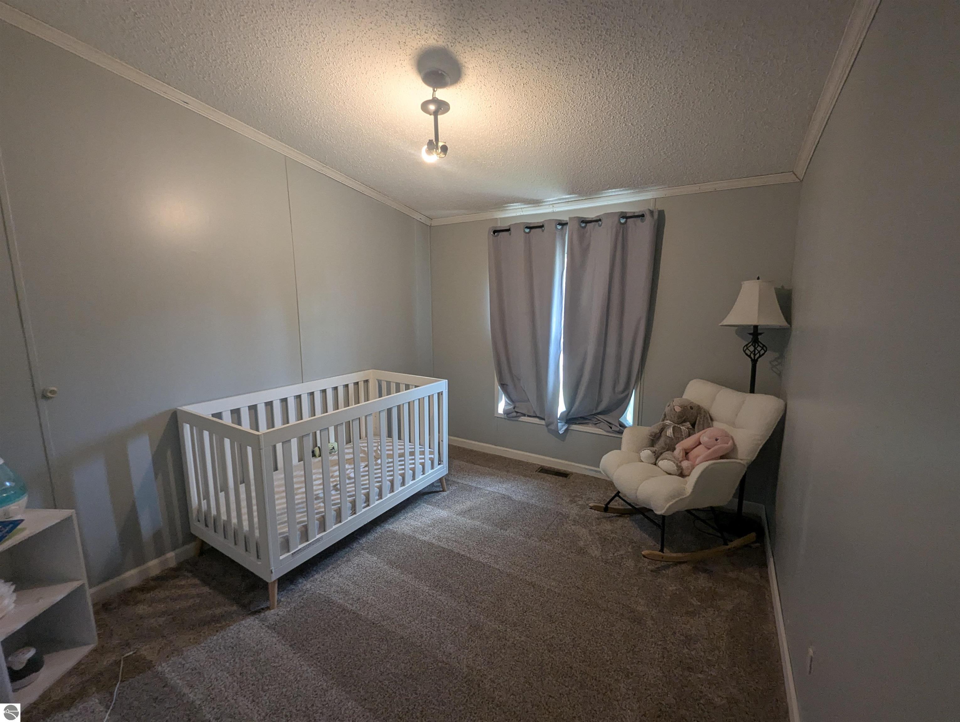209 W North Street, Standish, MI 48658 — Photo 30