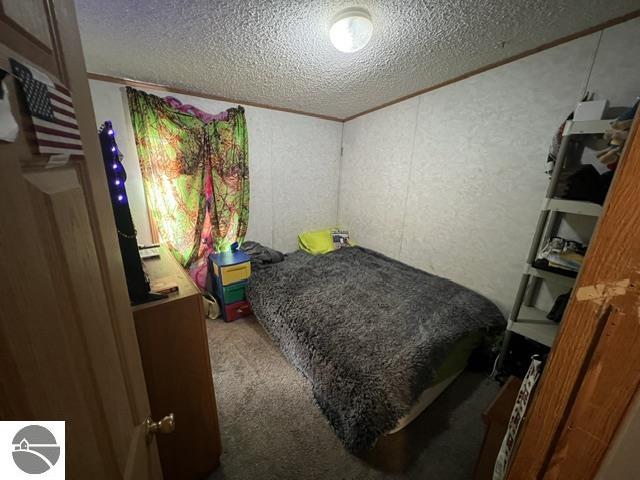 9875 Country Pines Drive, Kingsley, MI 49649 — Photo 20