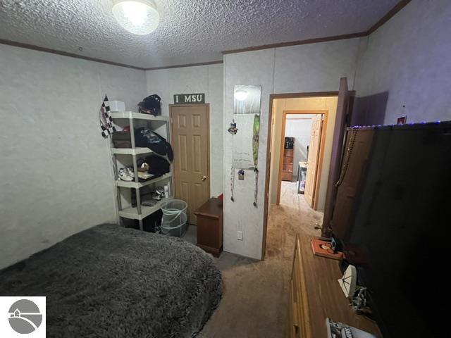 9875 Country Pines Drive, Kingsley, MI 49649 — Photo 21