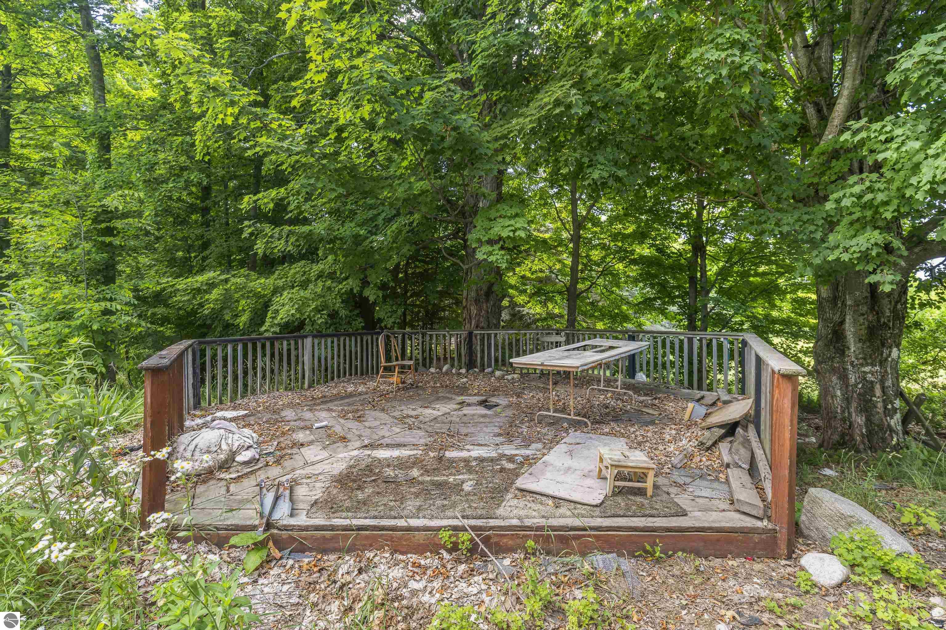 9509 Norconk Road, Bear Lake, MI 49614 — Photo 7