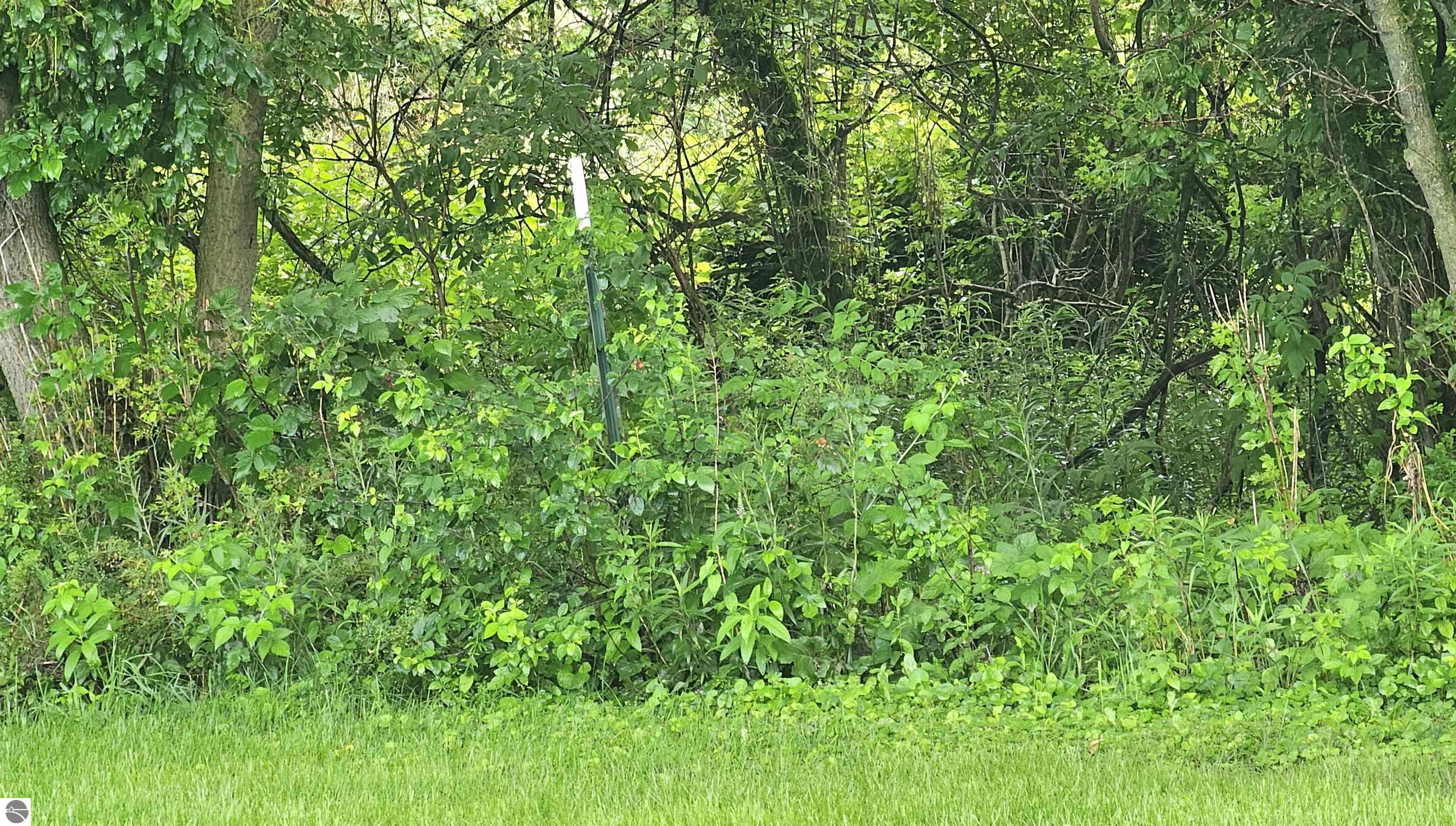 5955 N Pendell Road, Elwell, MI 48832 — Photo 36