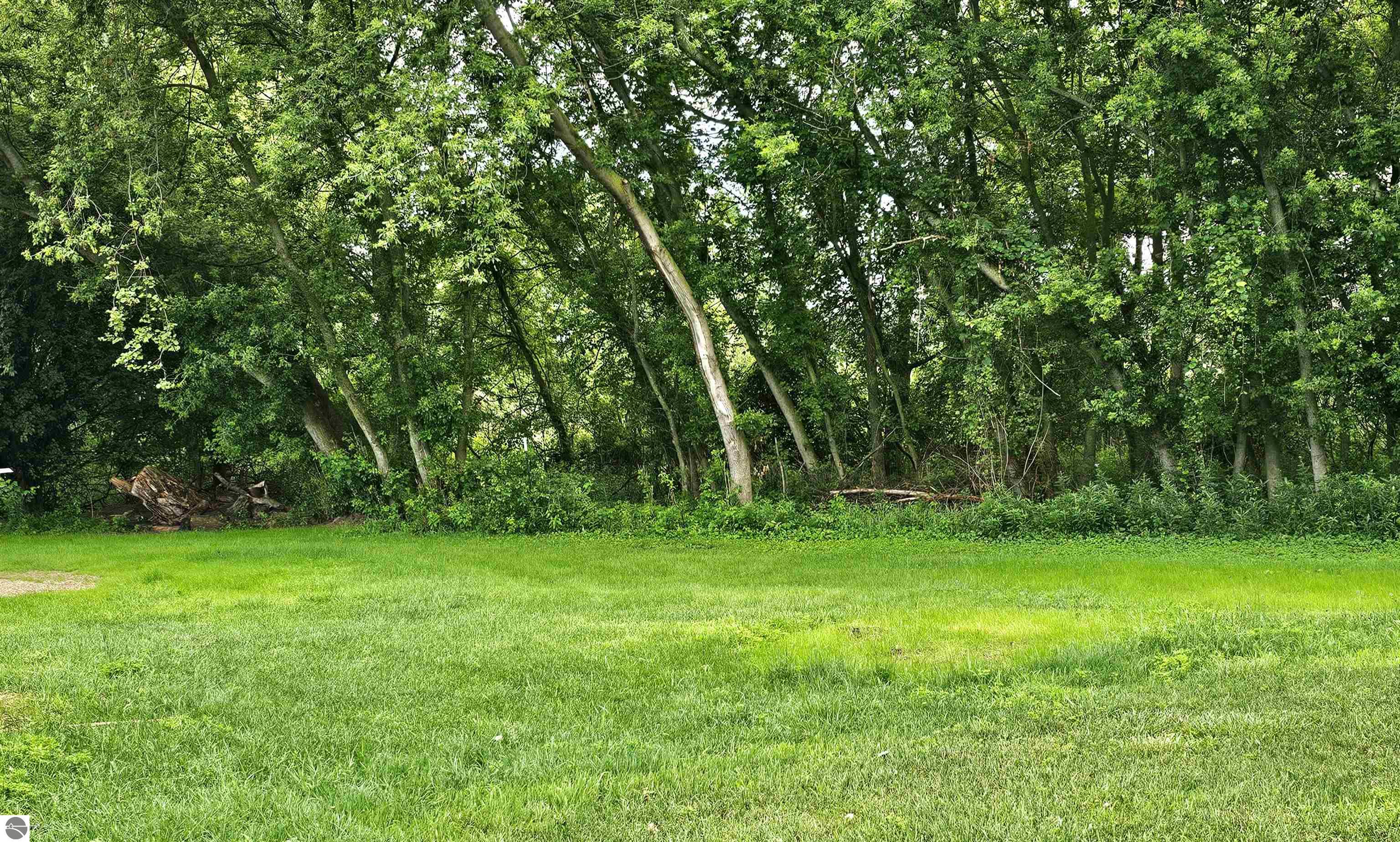 5955 N Pendell Road, Elwell, MI 48832 — Photo 38