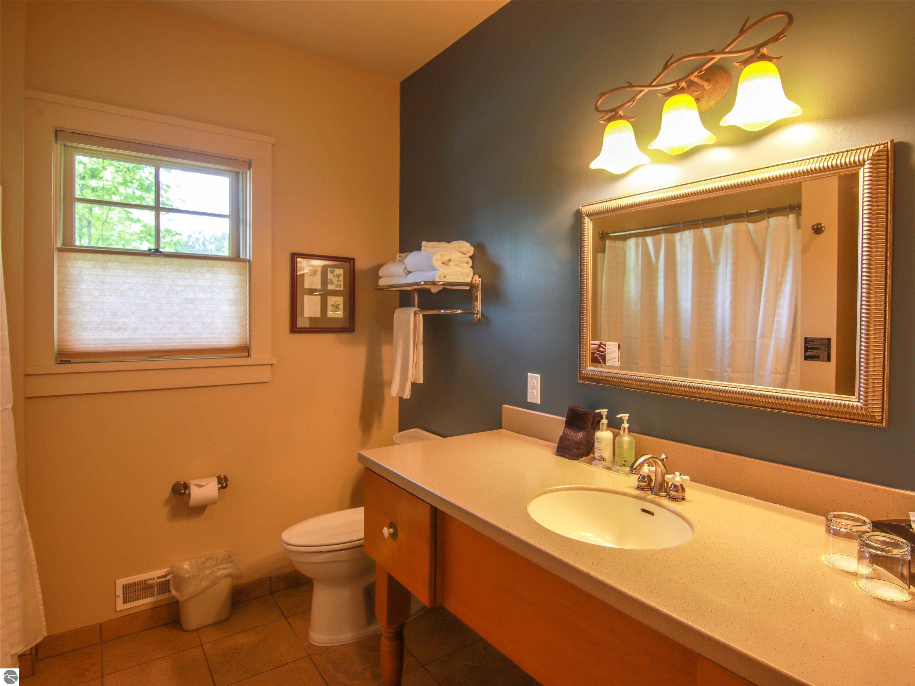 12362-Unit 322C Wintergreen Drive, Thompsonville, MI 49683 — Photo 23