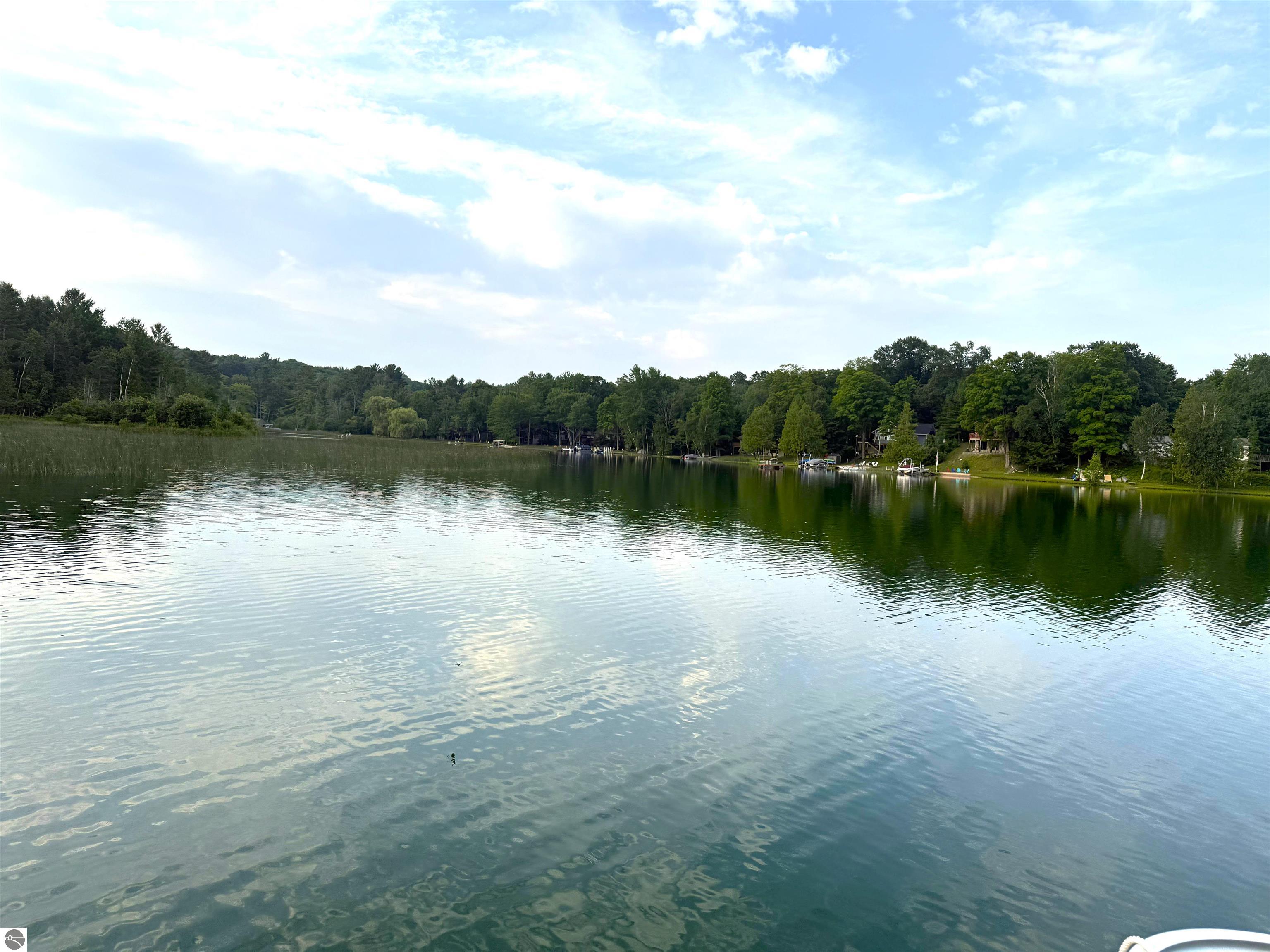 19146 Birch View Trail, Lake Ann, MI 49650 — Photo 4
