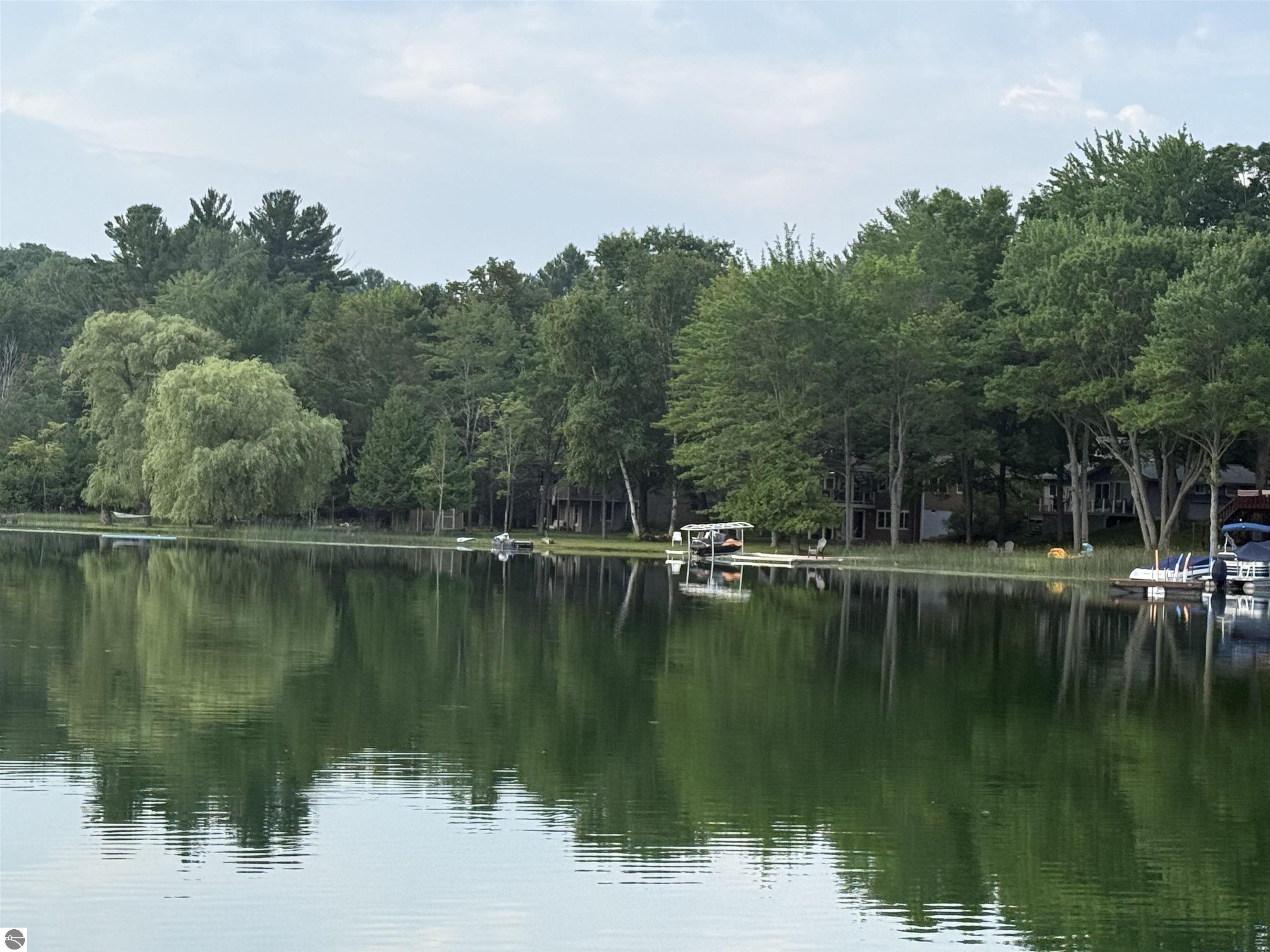 19146 Birch View Trail, Lake Ann, MI 49650 — Photo 5