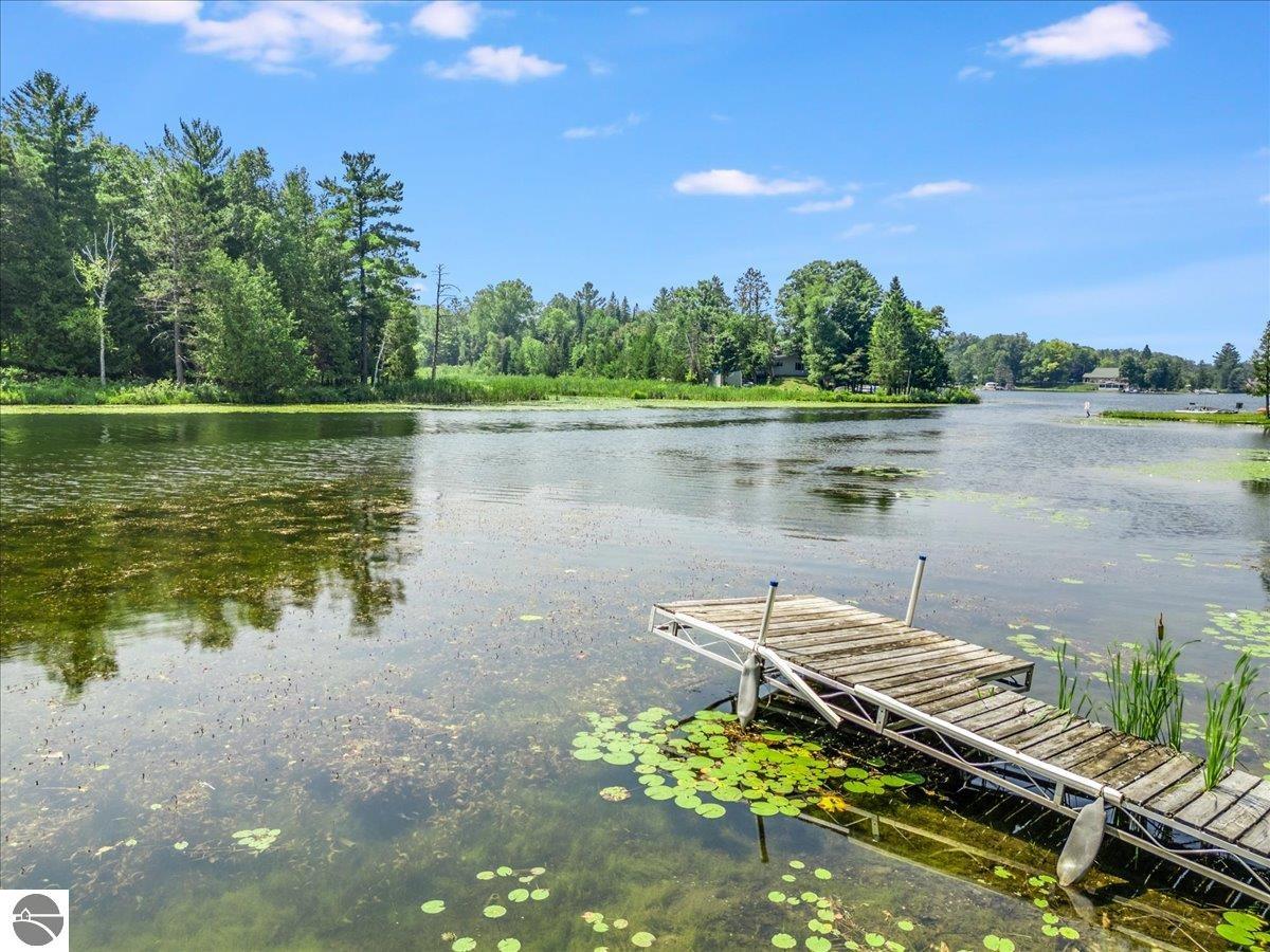 8225 Lakeview Drive, Hale, MI 48739 — Photo 4