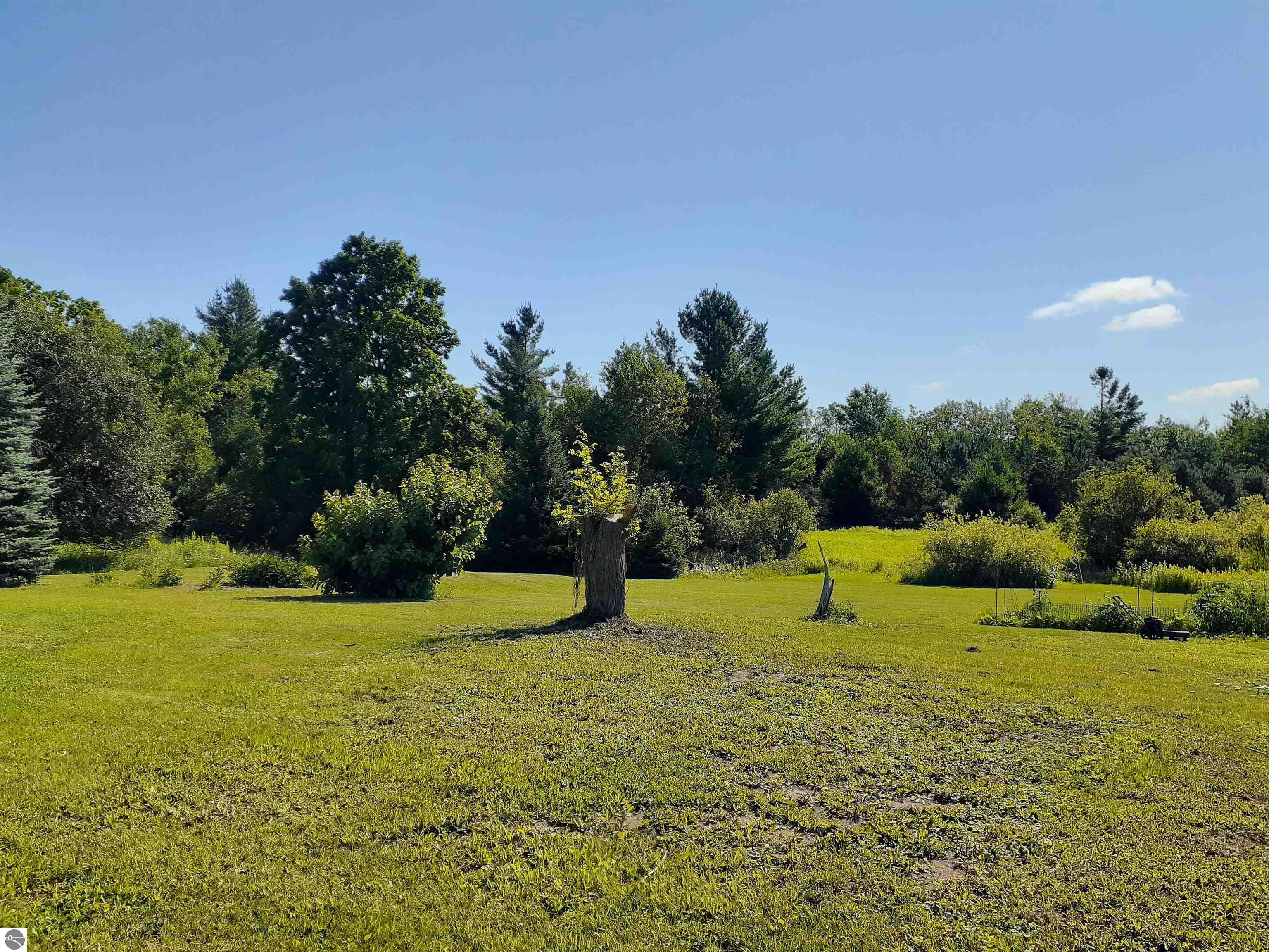 2347 M-65, Glennie, MI 48737 — Photo 5
