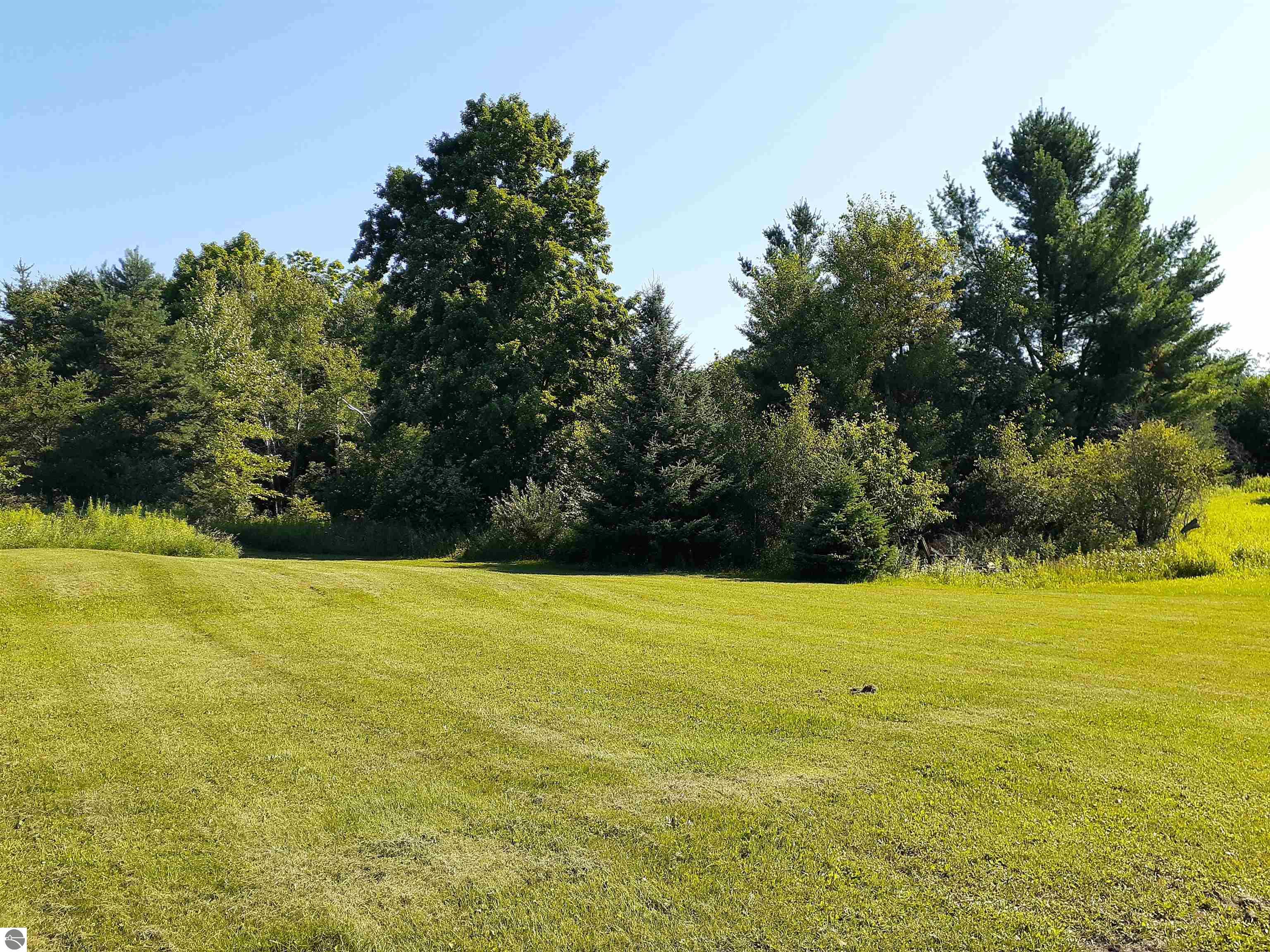 2347 M-65, Glennie, MI 48737 — Photo 6