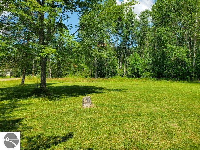 5775 River Valley Drive, Prescott, MI 48756 — Photo 4