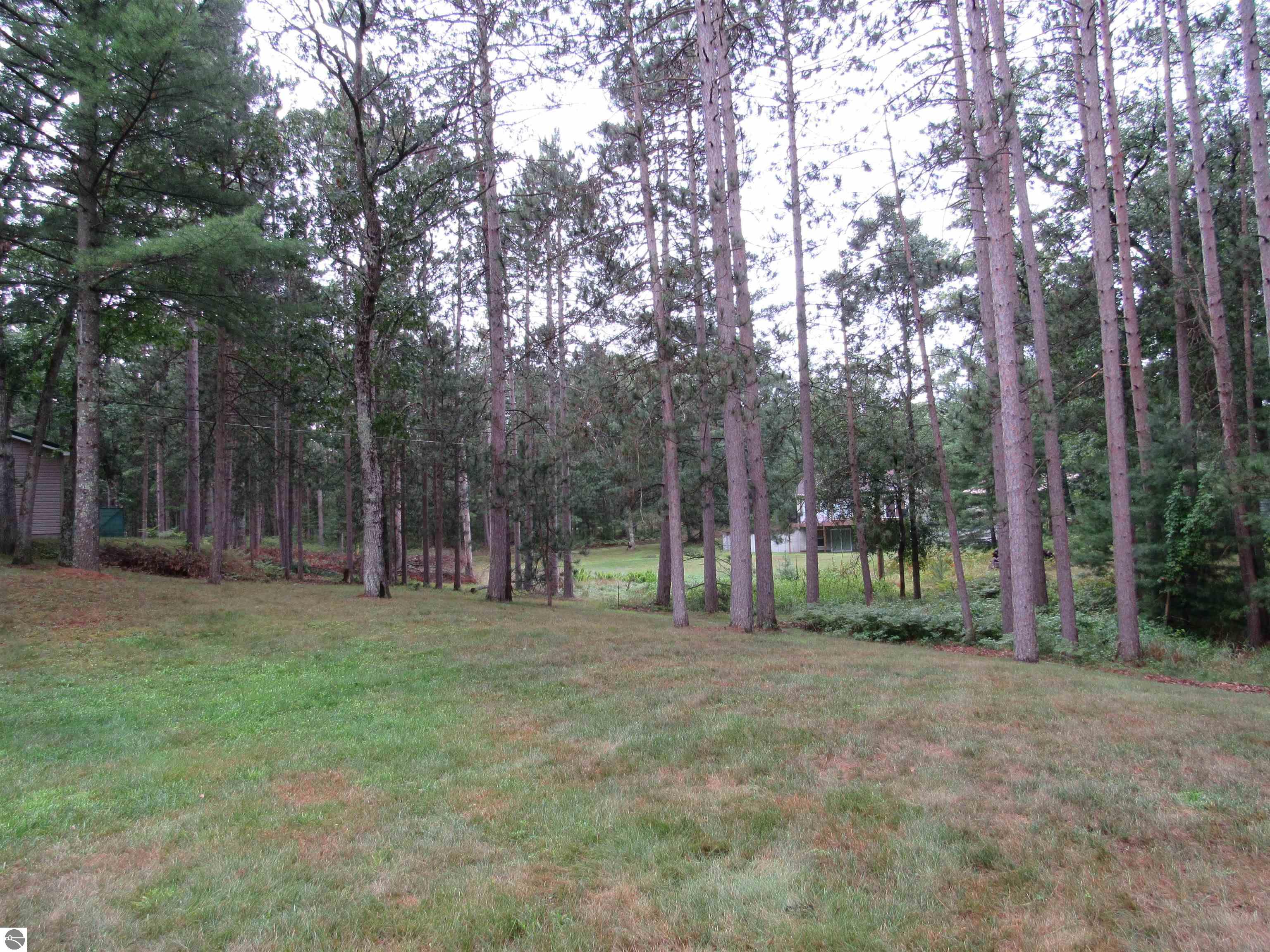 3385 Midland Street, National City, MI 48748 — Photo 20