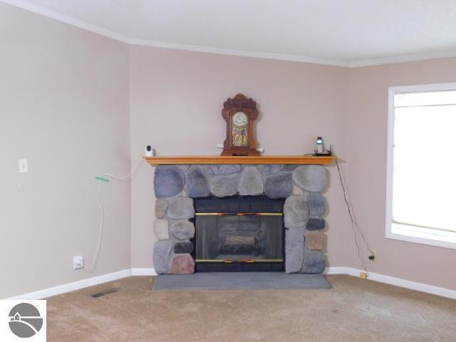 102 Paw Paw, Kalkaska, MI 49646 — Photo 37