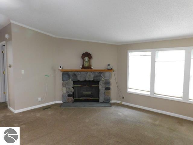102 Paw Paw, Kalkaska, MI 49646 — Photo 39
