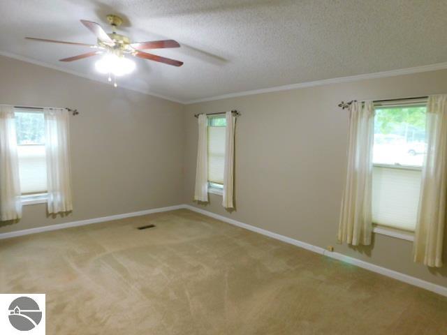 102 Paw Paw, Kalkaska, MI 49646 — Photo 42