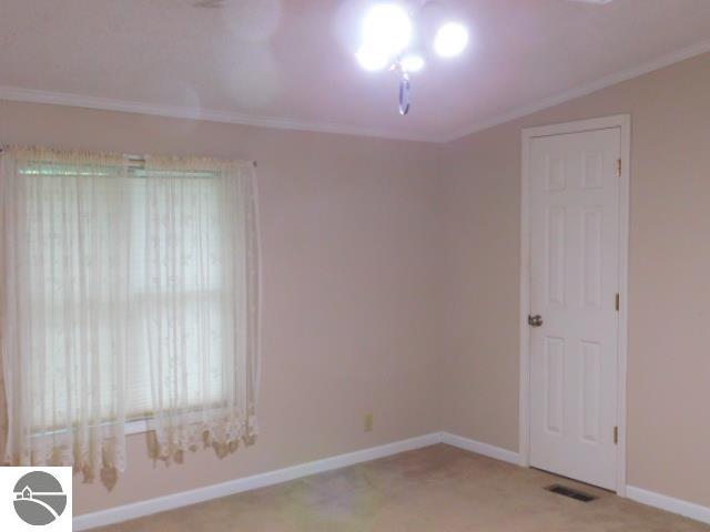 102 Paw Paw, Kalkaska, MI 49646 — Photo 47