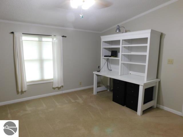 102 Paw Paw, Kalkaska, MI 49646 — Photo 50