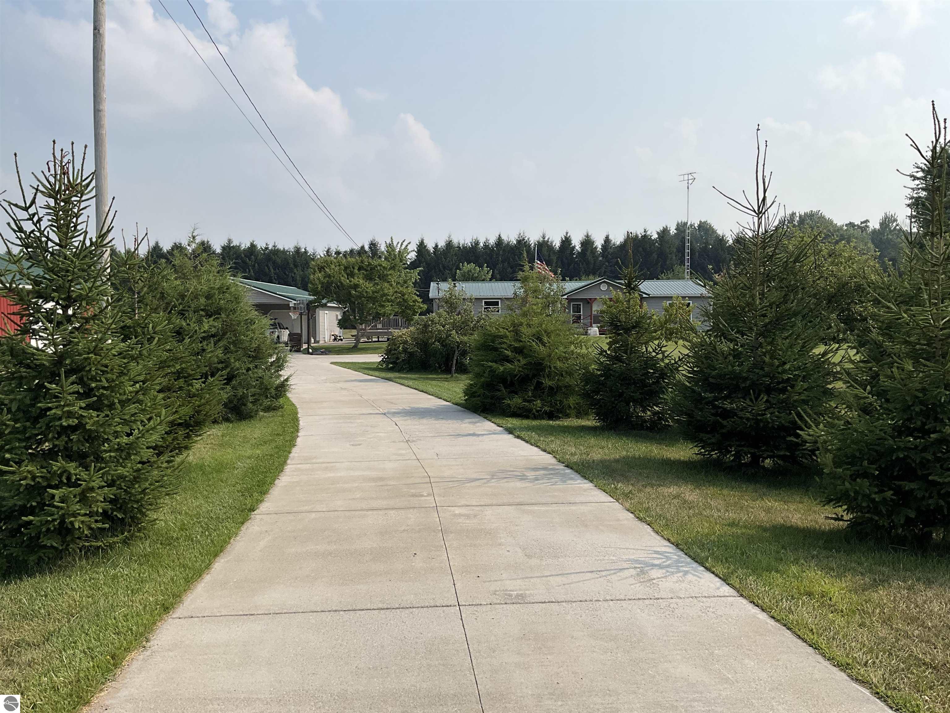 3635 W Washington Road, Ithaca, MI 48847 — Photo 4