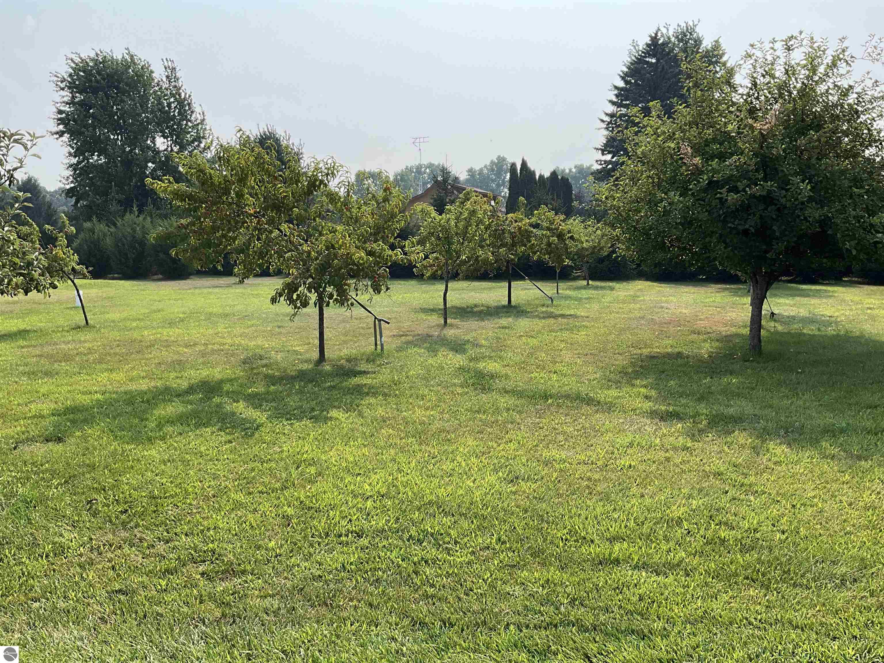 3635 W Washington Road, Ithaca, MI 48847 — Photo 48