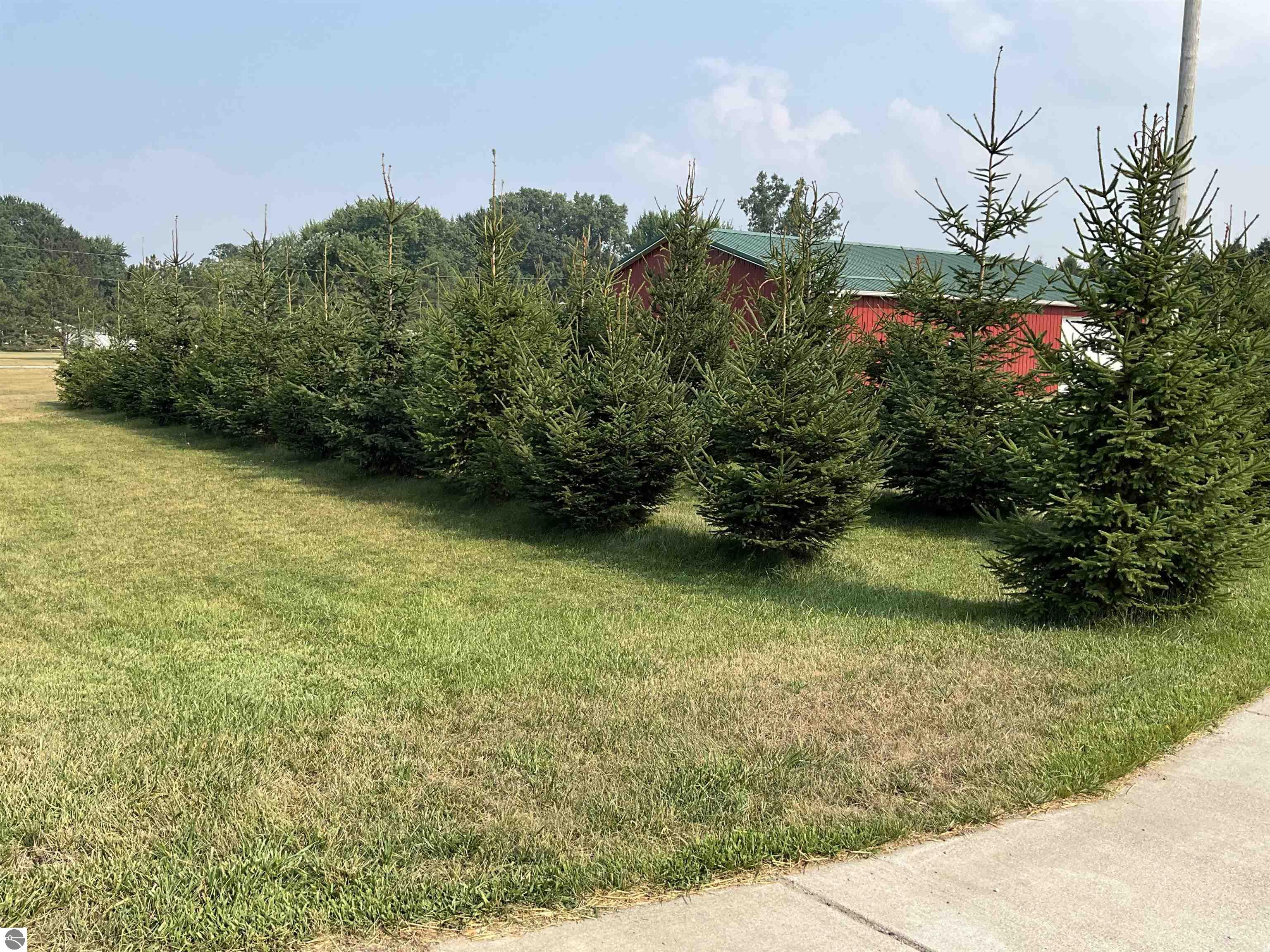 3635 W Washington Road, Ithaca, MI 48847 — Photo 56