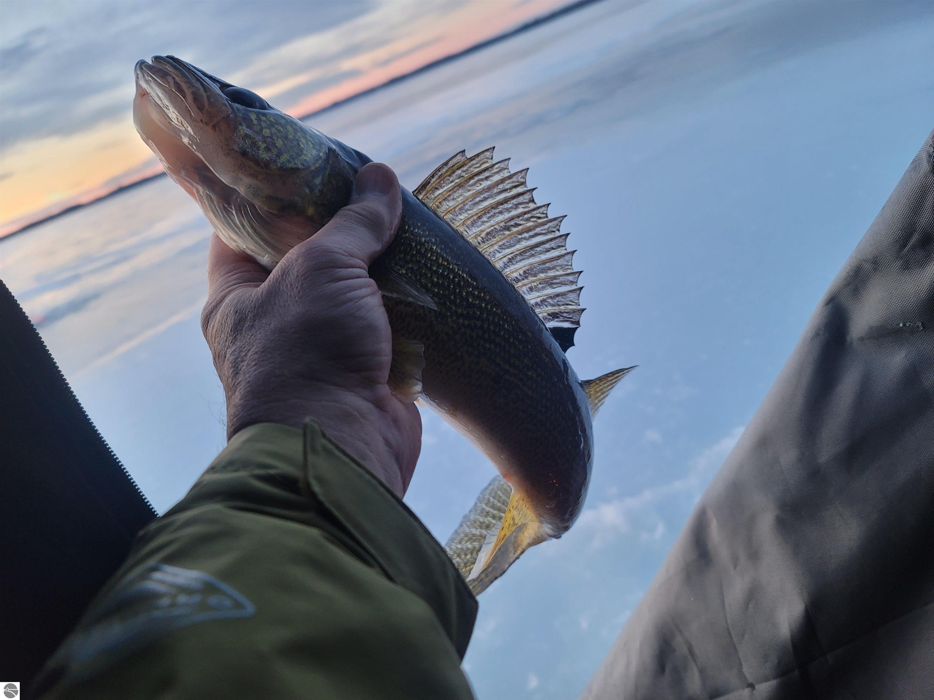 Click to enlarge photo