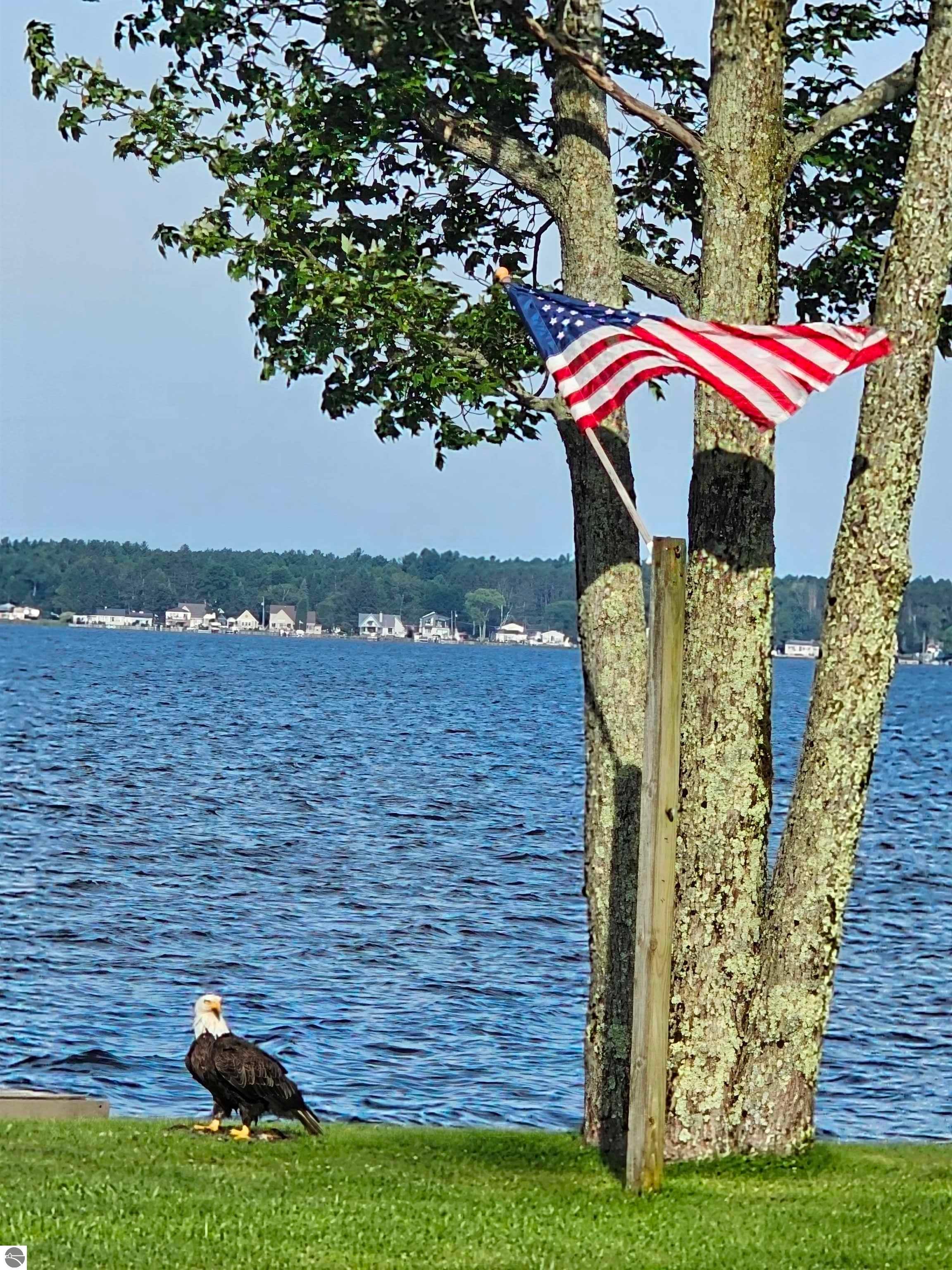 Click to enlarge photo