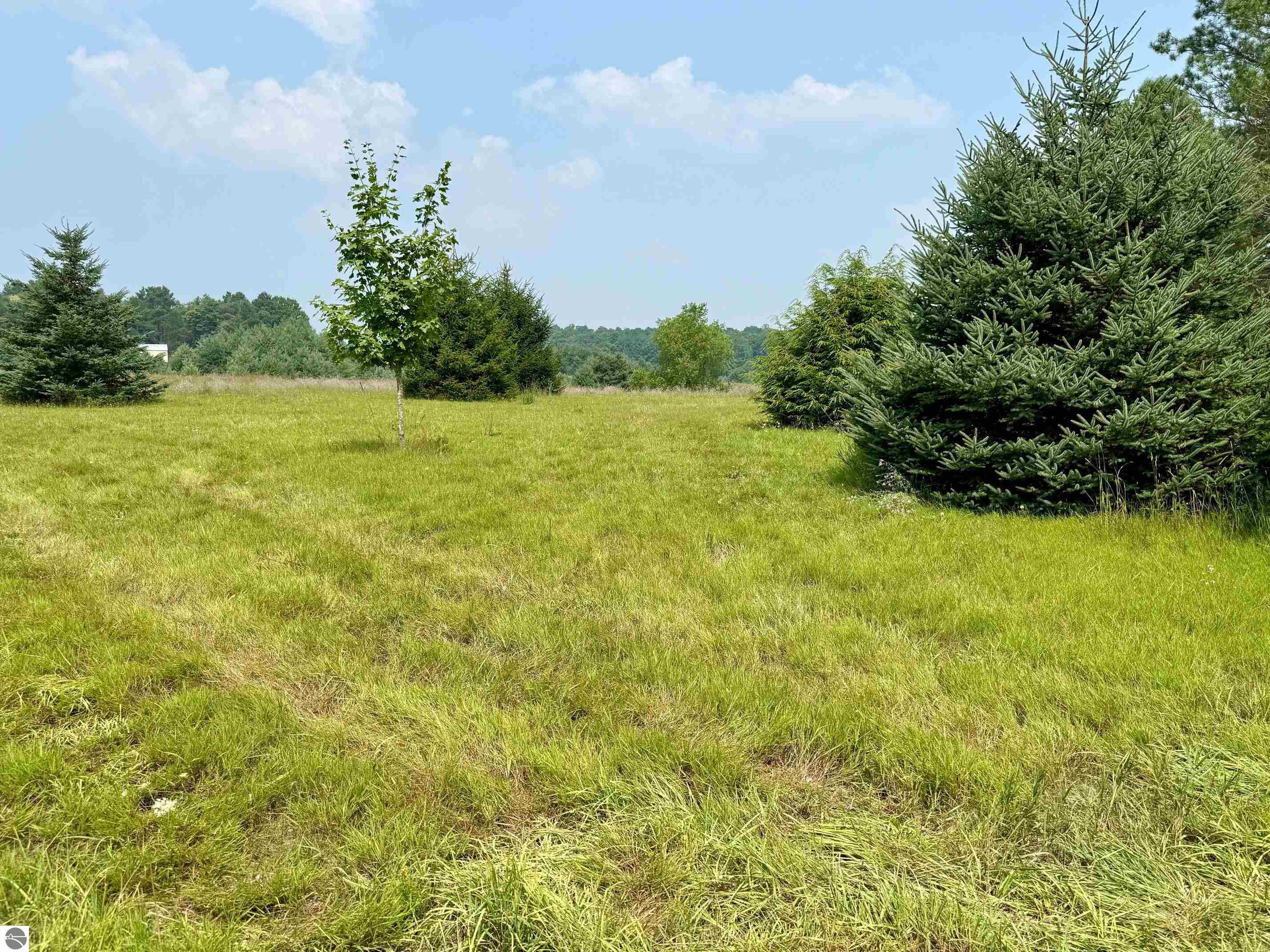 7278 Glovers Lake Road, Bear Lake, MI 49614 — Photo 41
