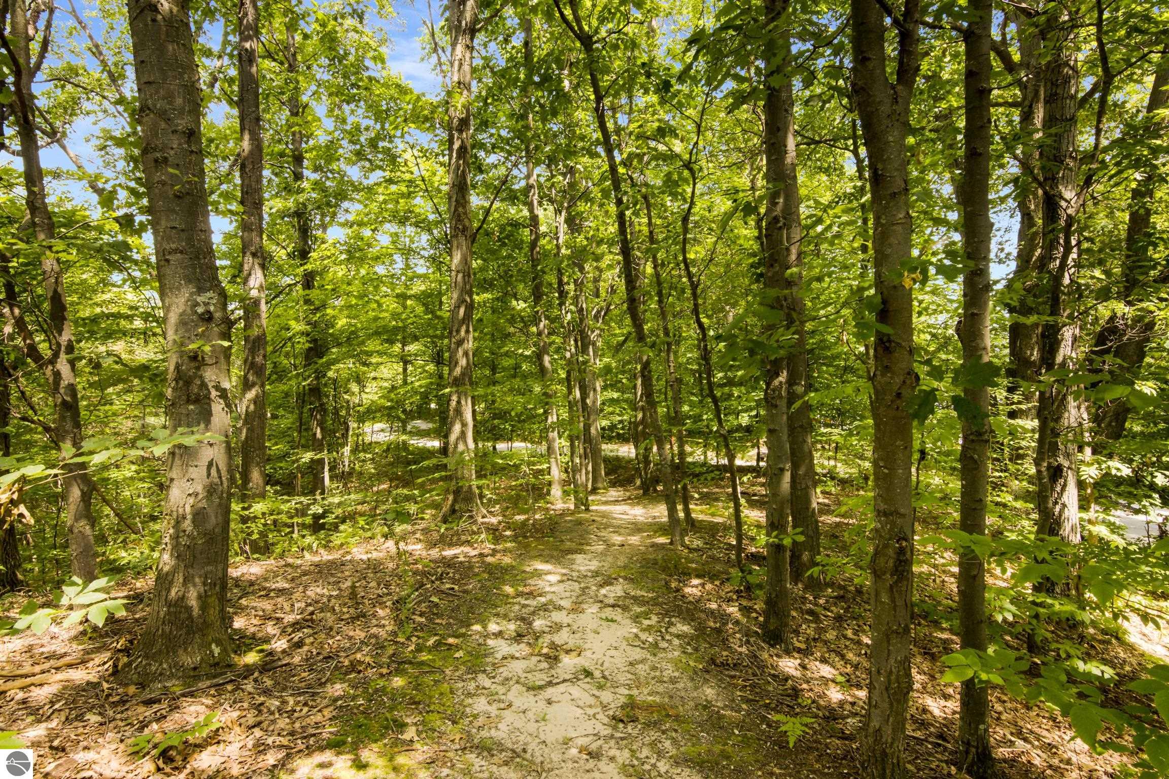 9255 E Grace Drive, Cedar, MI 49621 — Photo 57