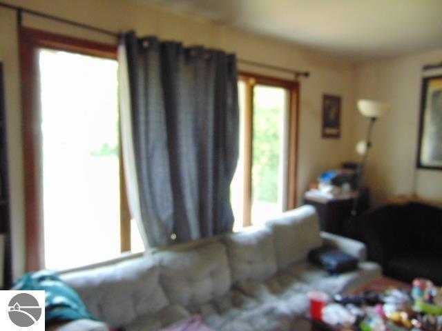 520 Wright Street, Breckenridge, MI 48615 — Photo 17