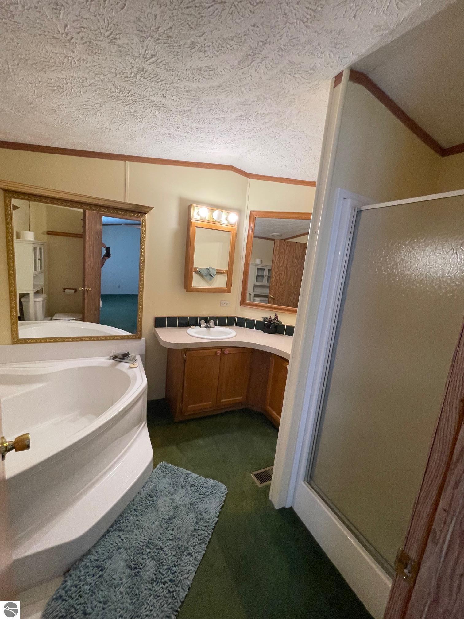 2113 Lincoln, Central Lake, MI 49622 — Photo 18