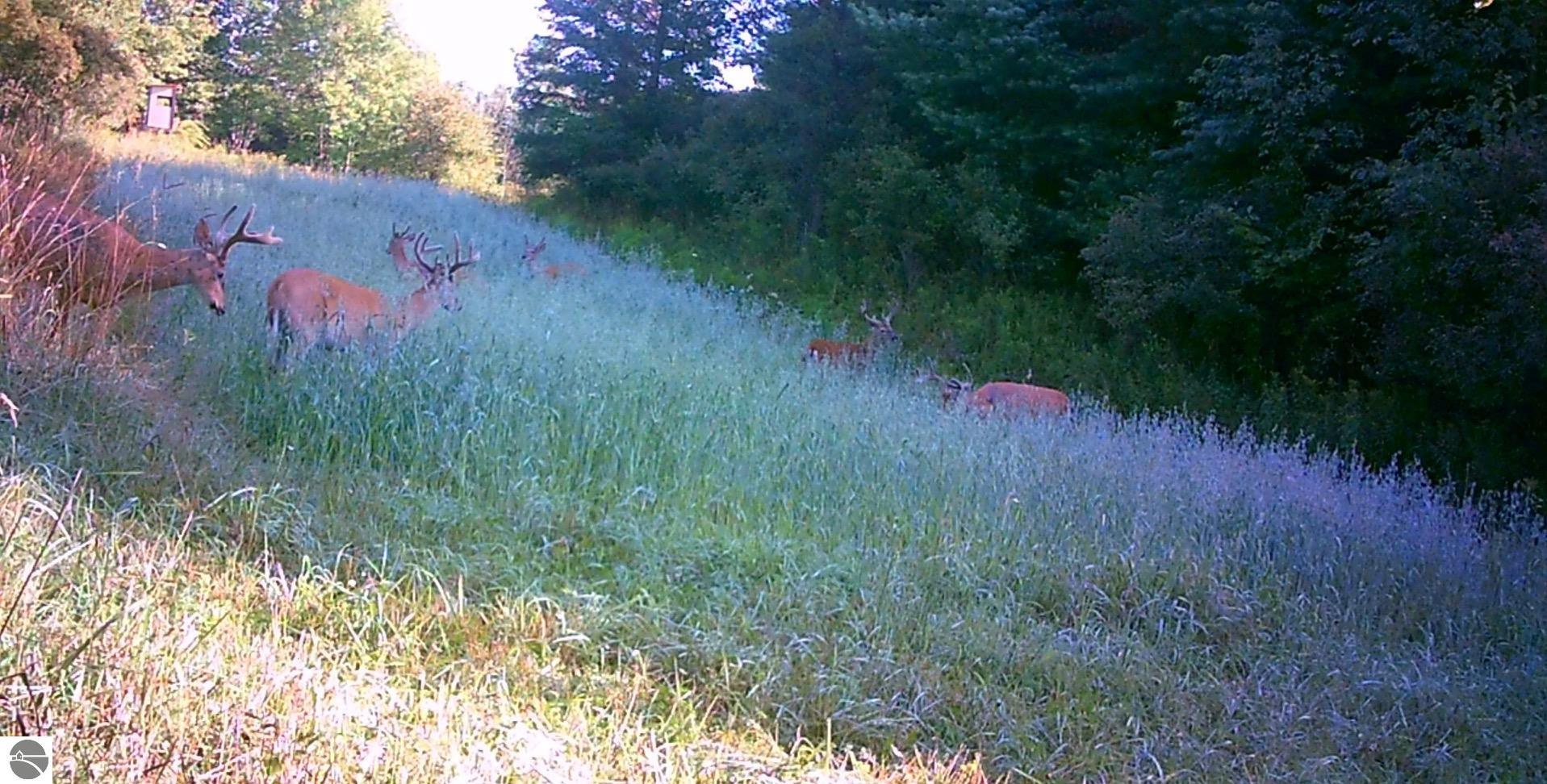 18011 13 Mile Road, Leroy, MI 49655 — Photo 16