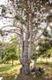 Photo 45 for MLS 1937365