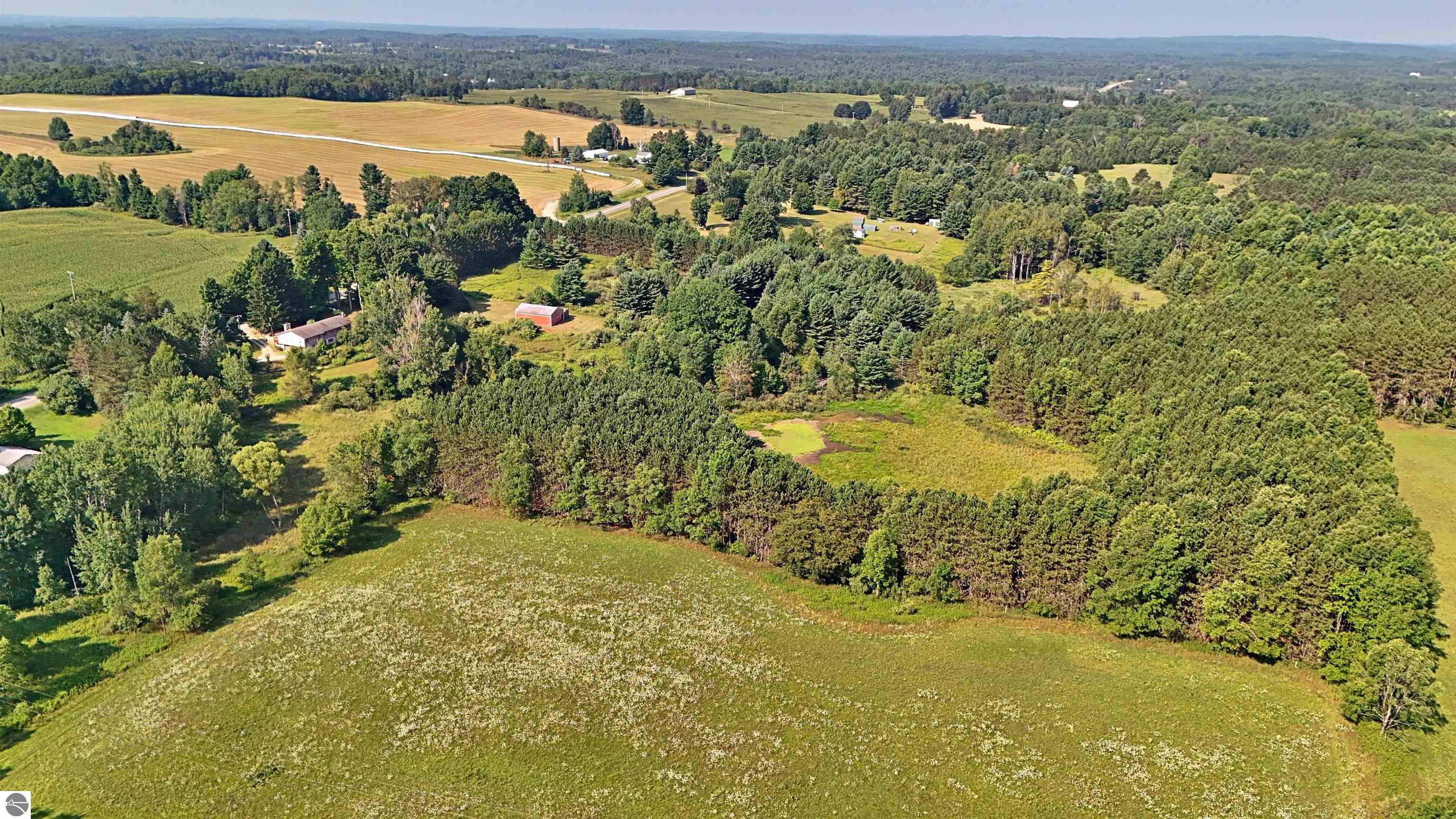 19120 Leroy Road, Leroy, MI 49655 — Photo 12