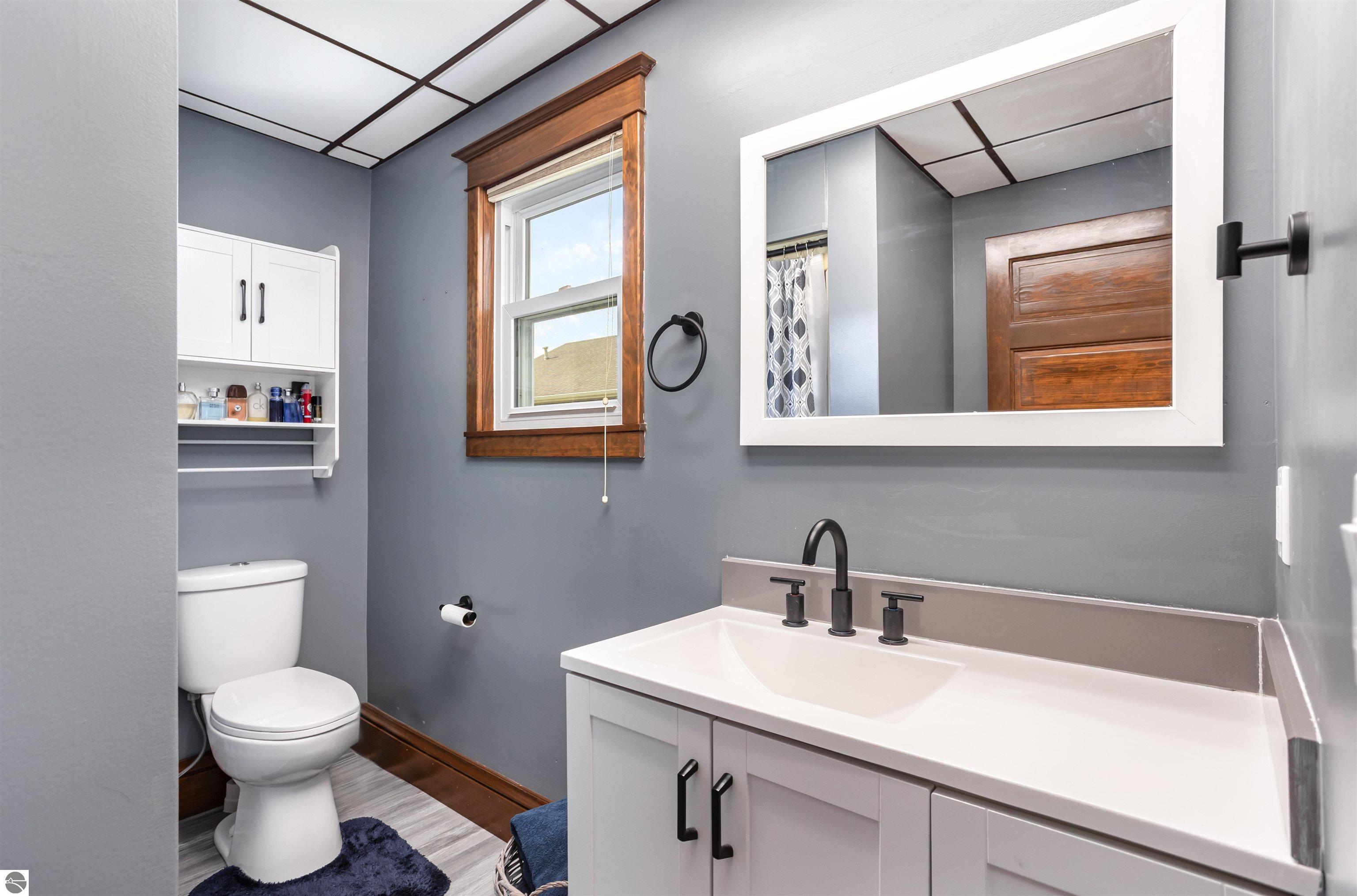 3915 N Mission, Rosebush, MI 48878 — Photo 14