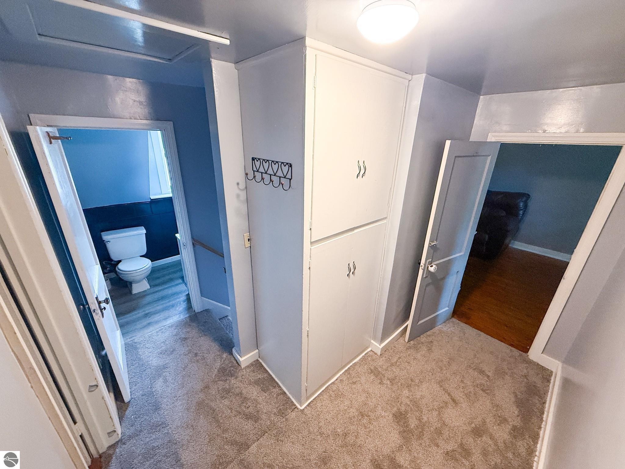 145 S Johnson Street, Merrill, MI 48637 — Photo 10